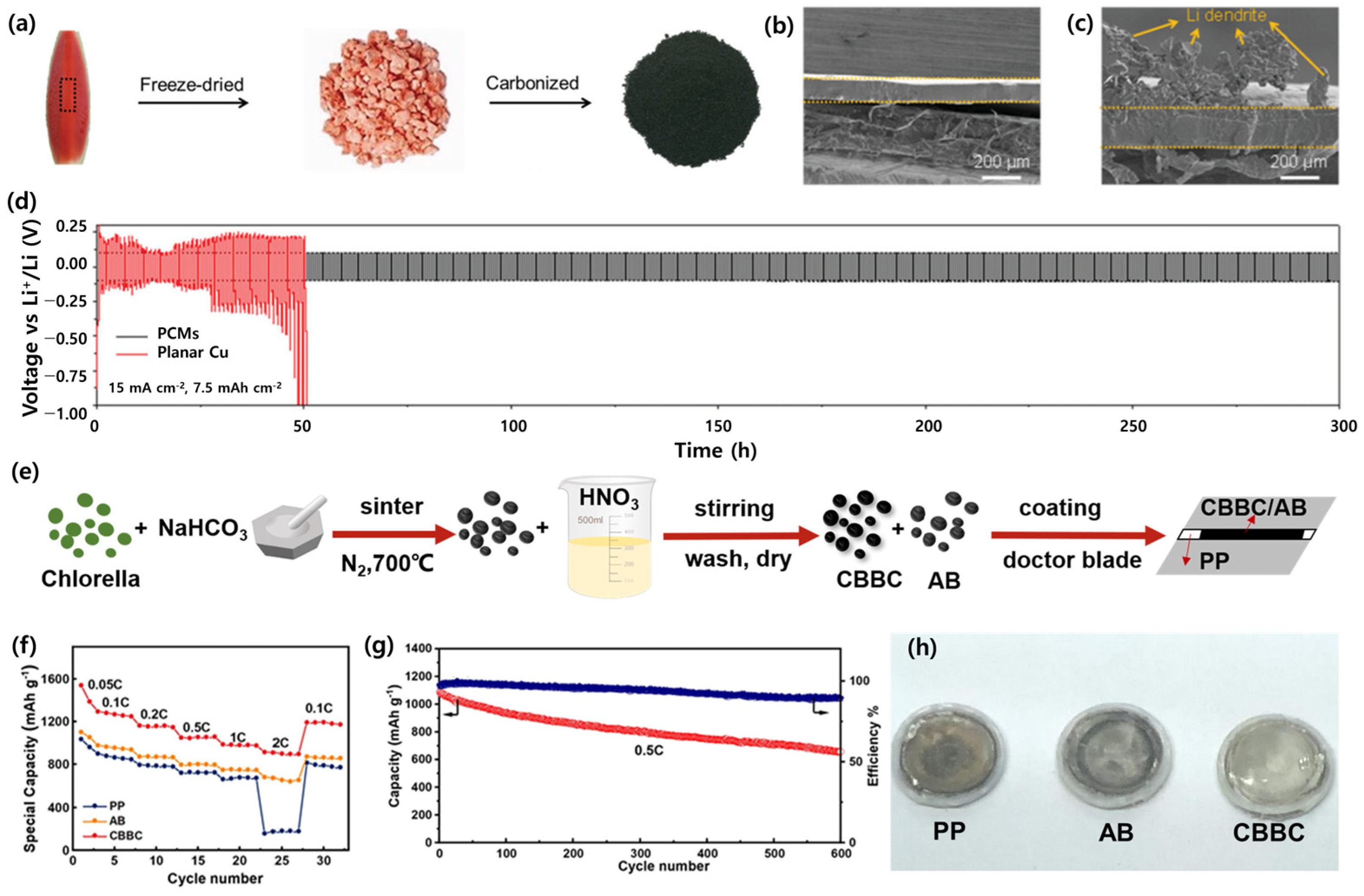 Coatings 15 00043 g006