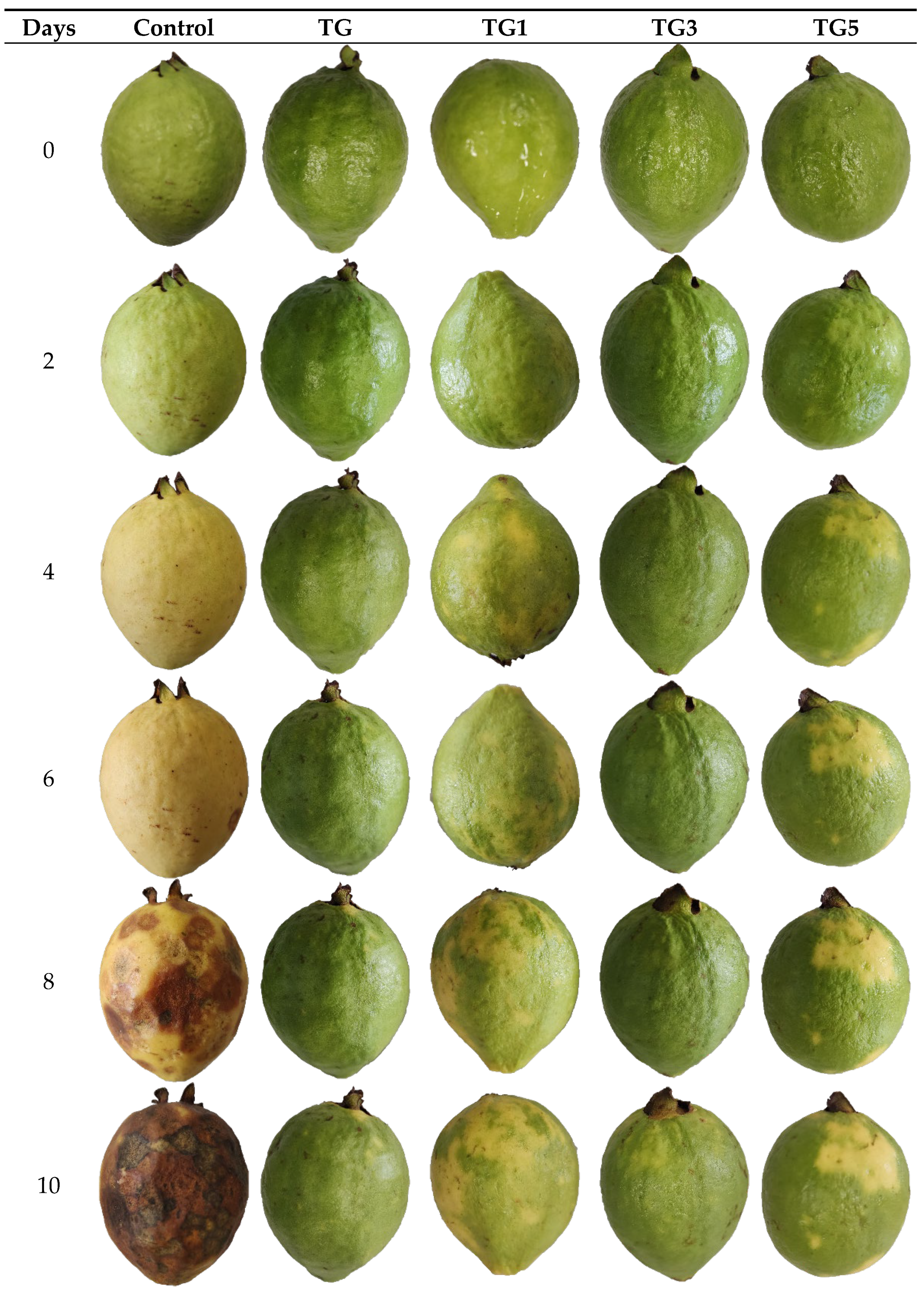 Coatings 15 00044 g001a