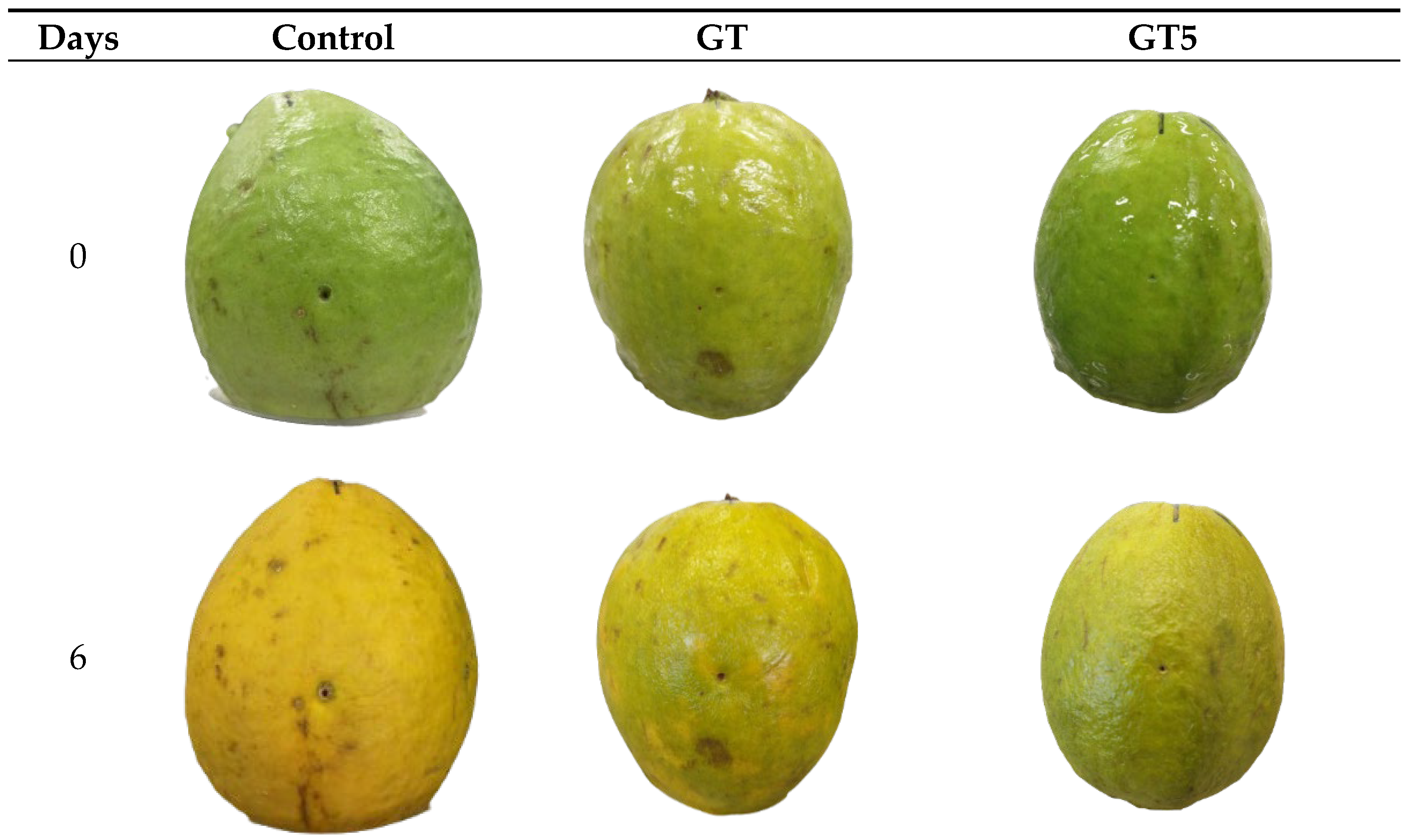 Coatings 15 00044 g004a