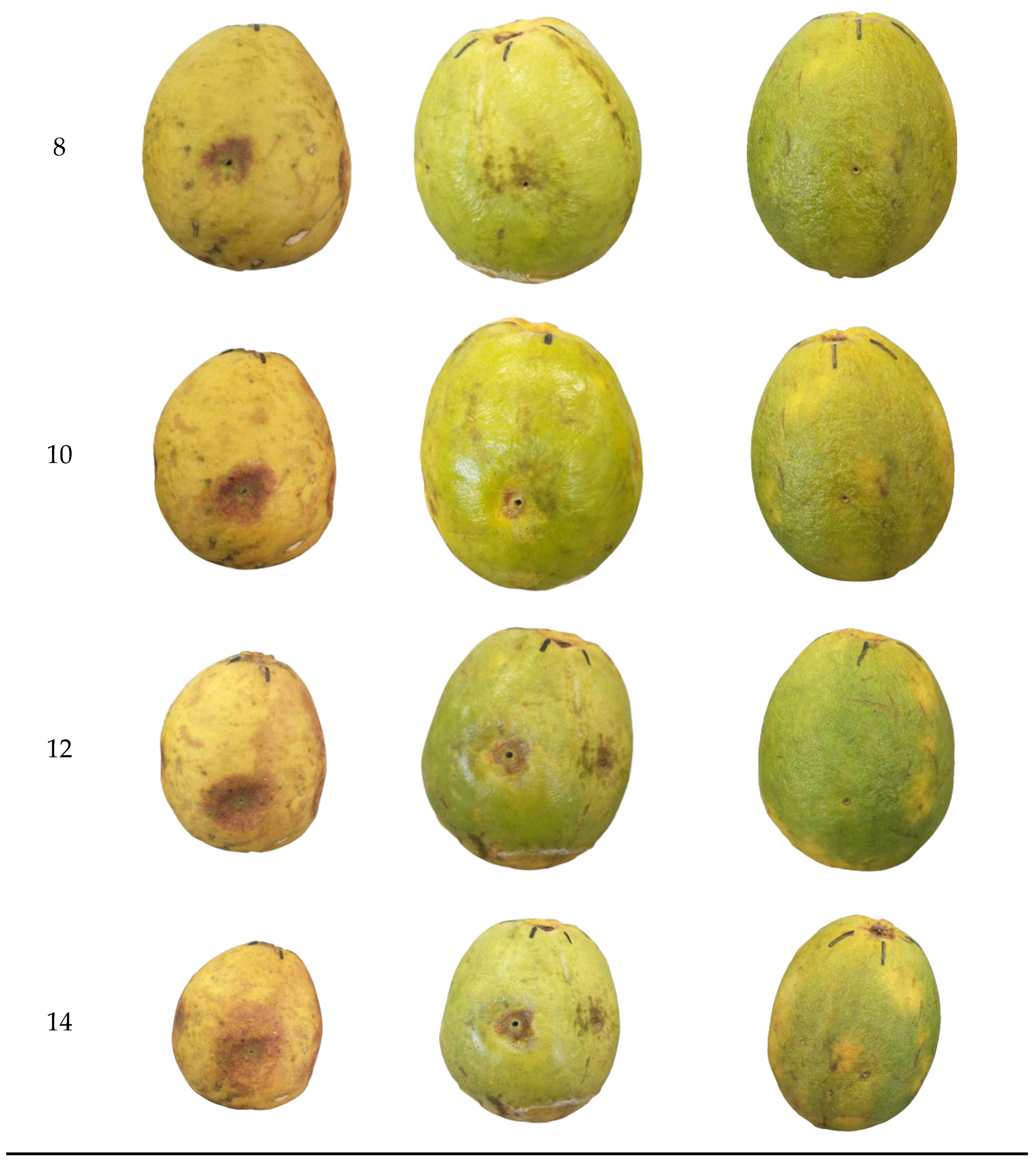 Coatings 15 00044 g004b