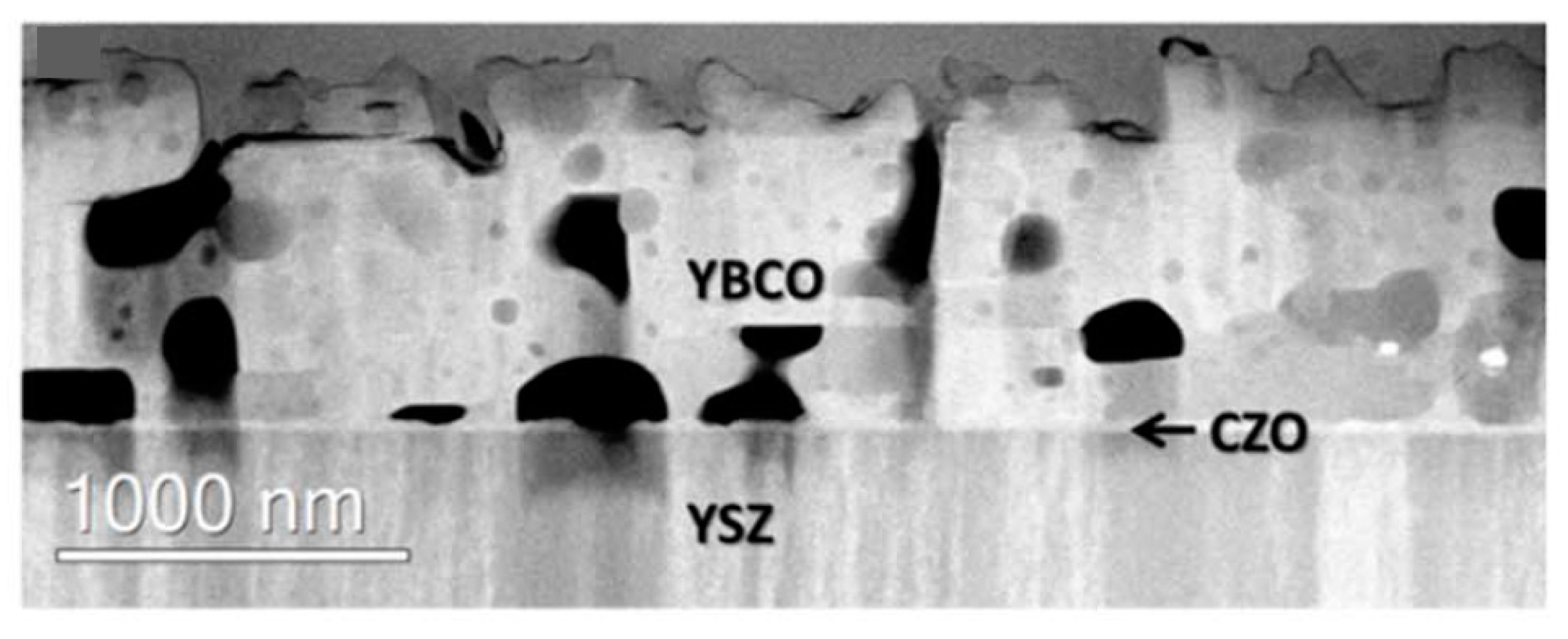 Coatings 15 00045 g011