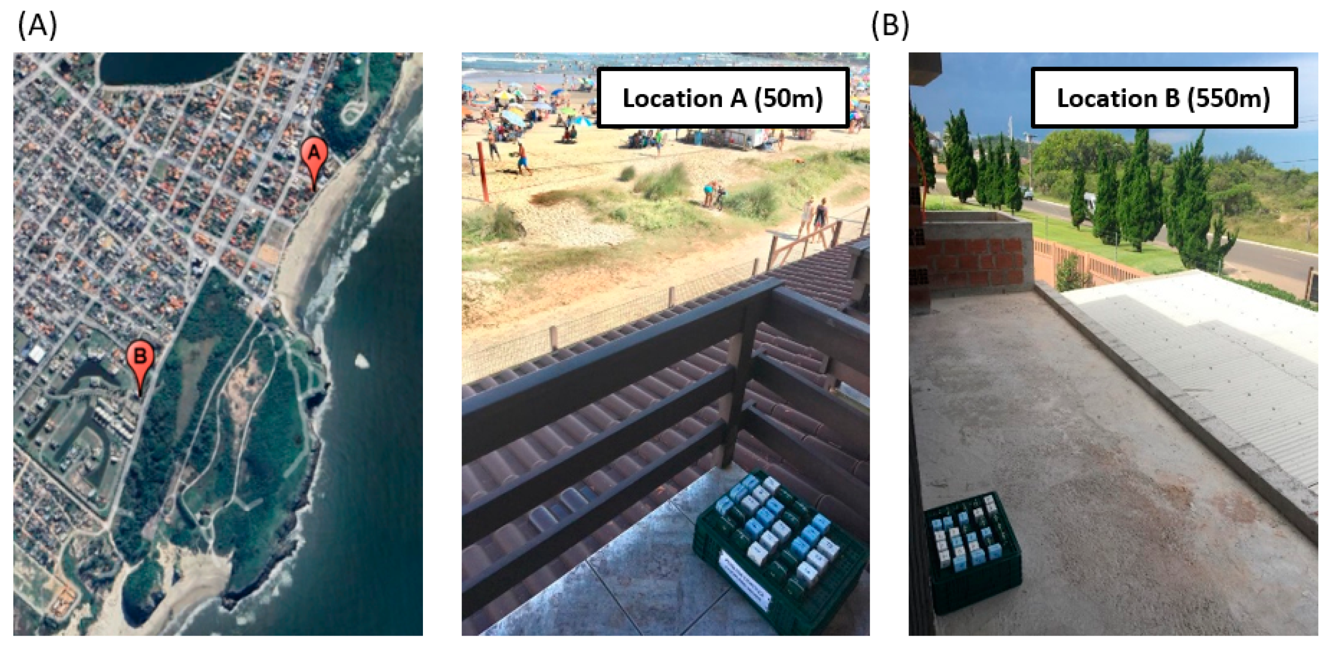 Coatings 15 00046 g004