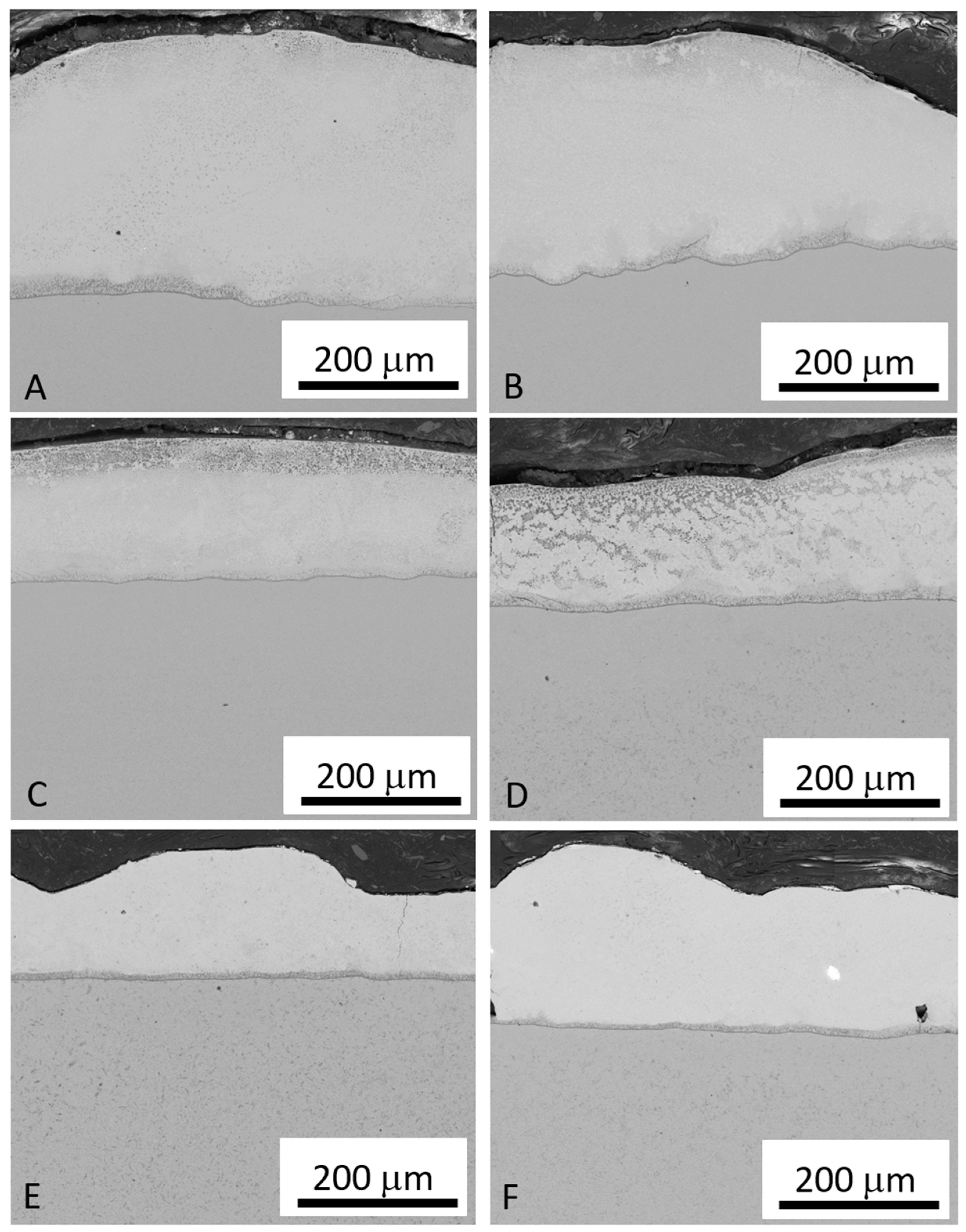Coatings 15 00047 g002 Coatings 15 00047 g002