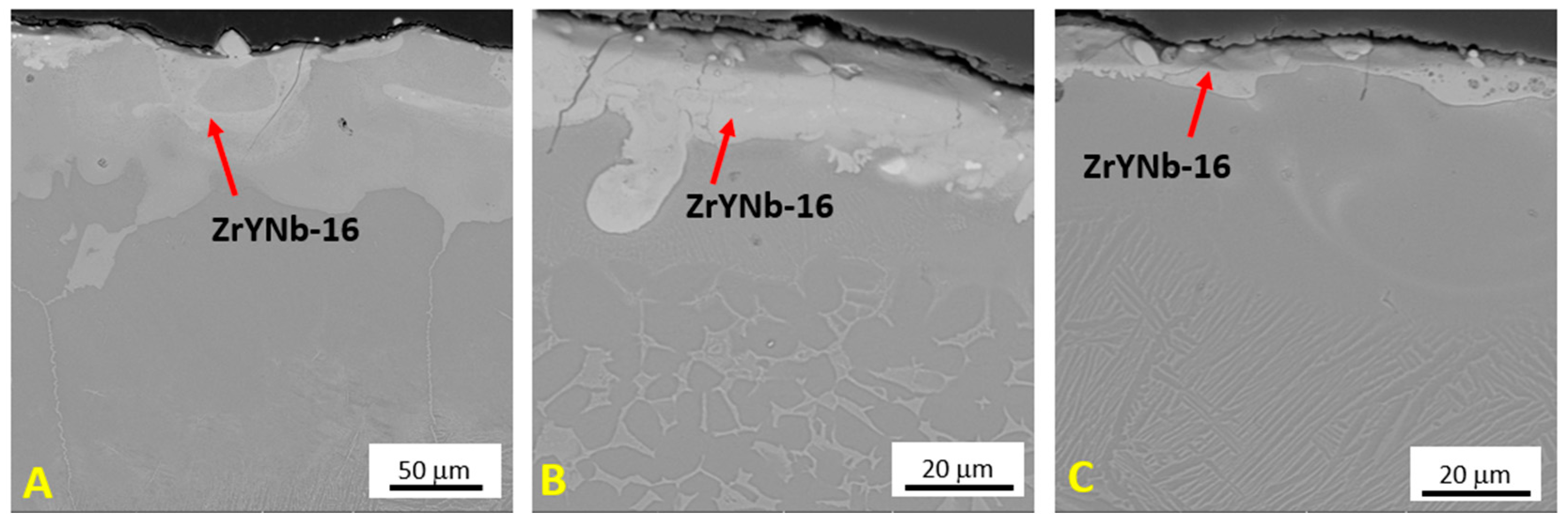 Coatings 15 00047 g005 Coatings 15 00047 g005