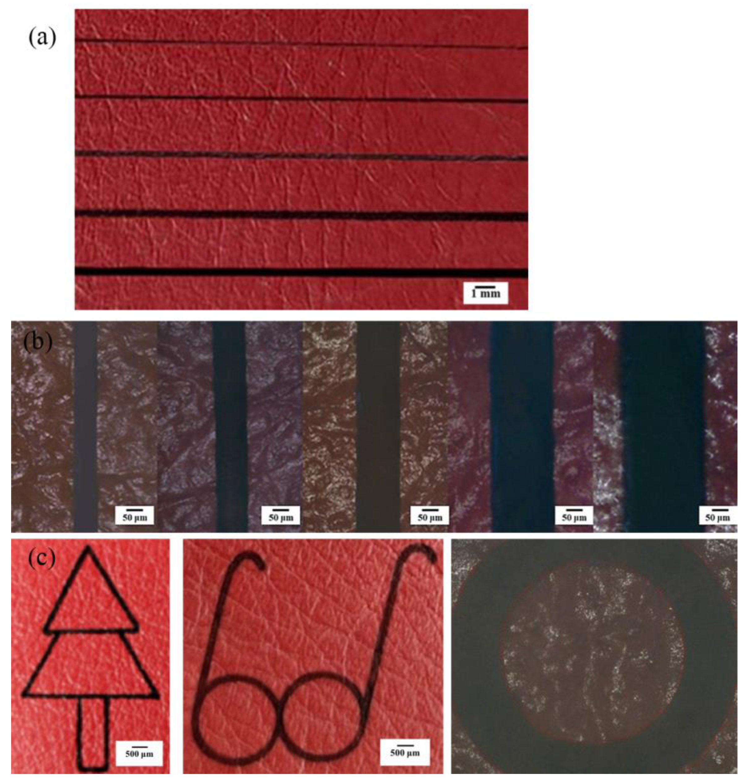 Coatings 15 00048 g012