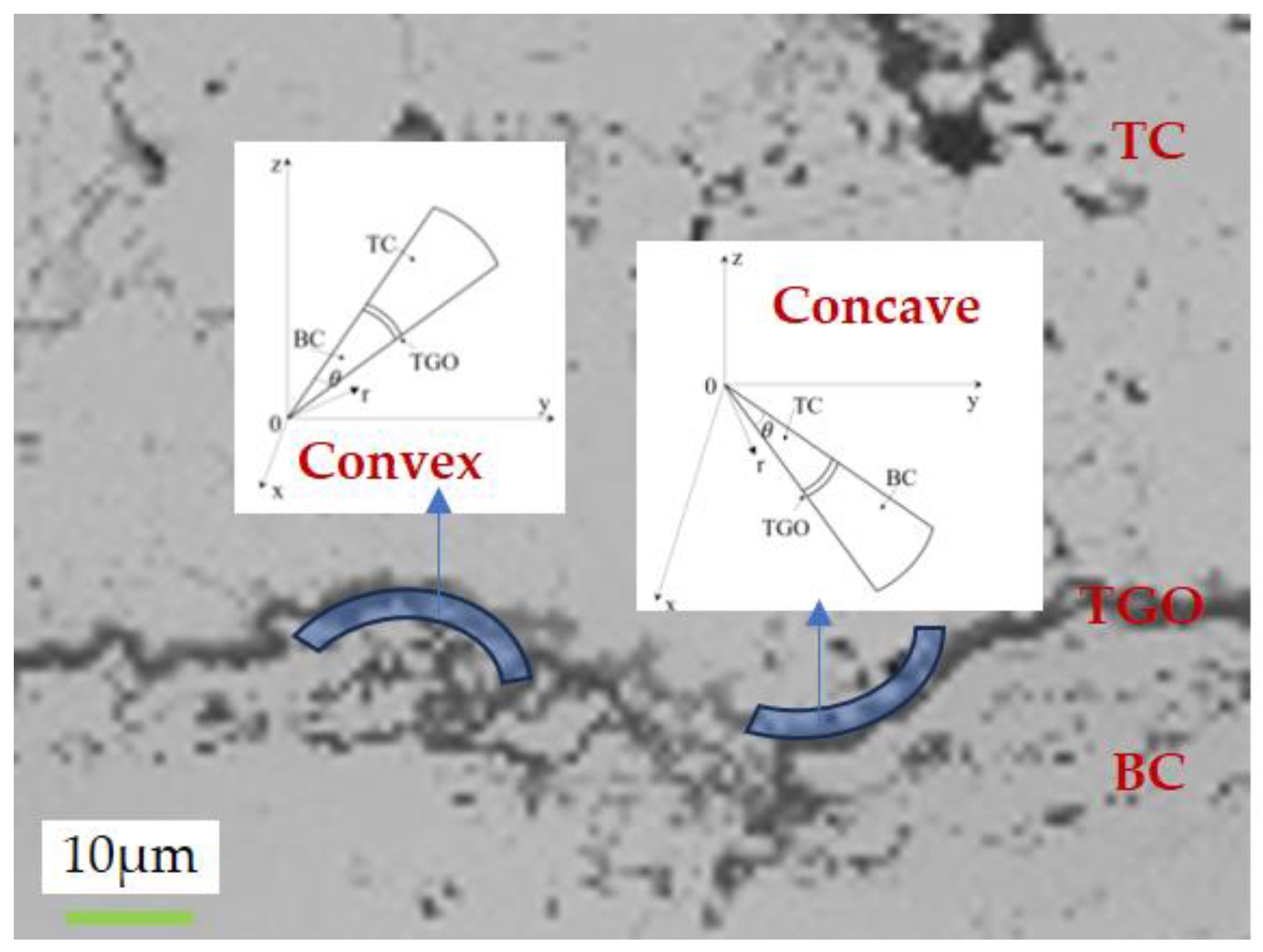 Coatings 15 00049 g001