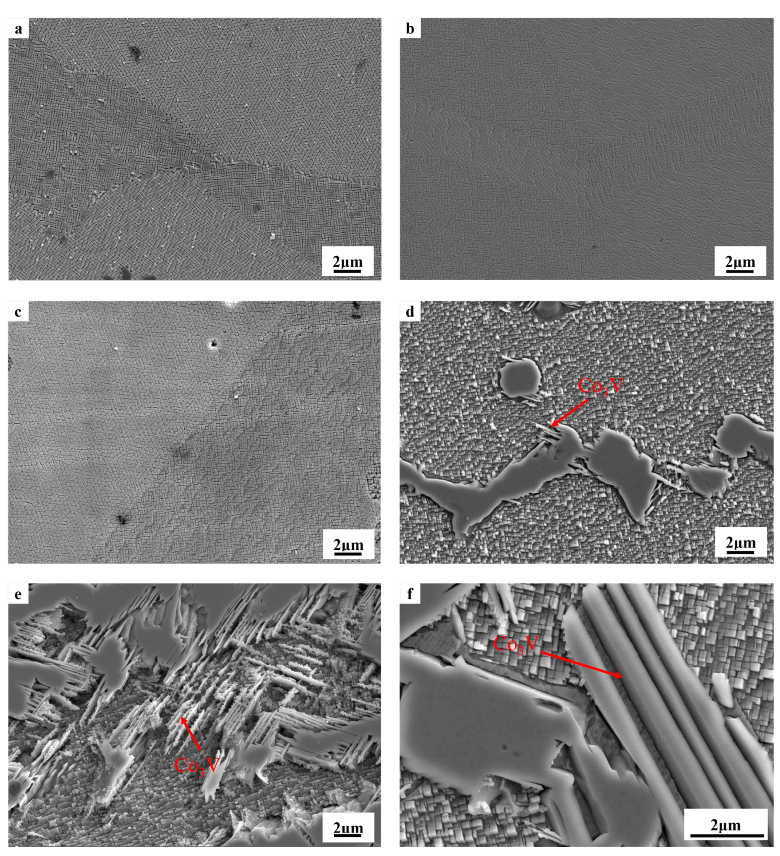 Coatings 15 00053 g002