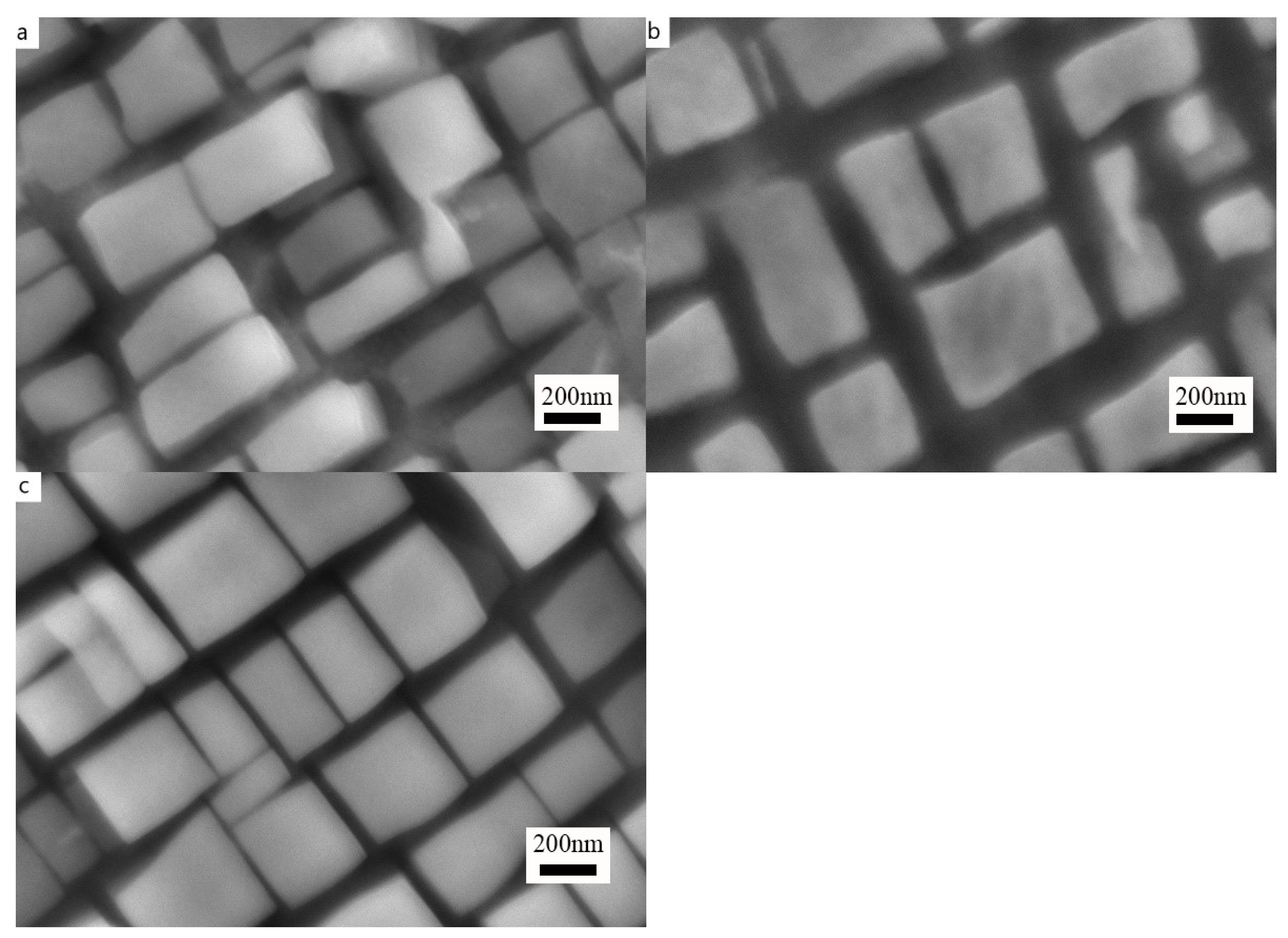 Coatings 15 00053 g007