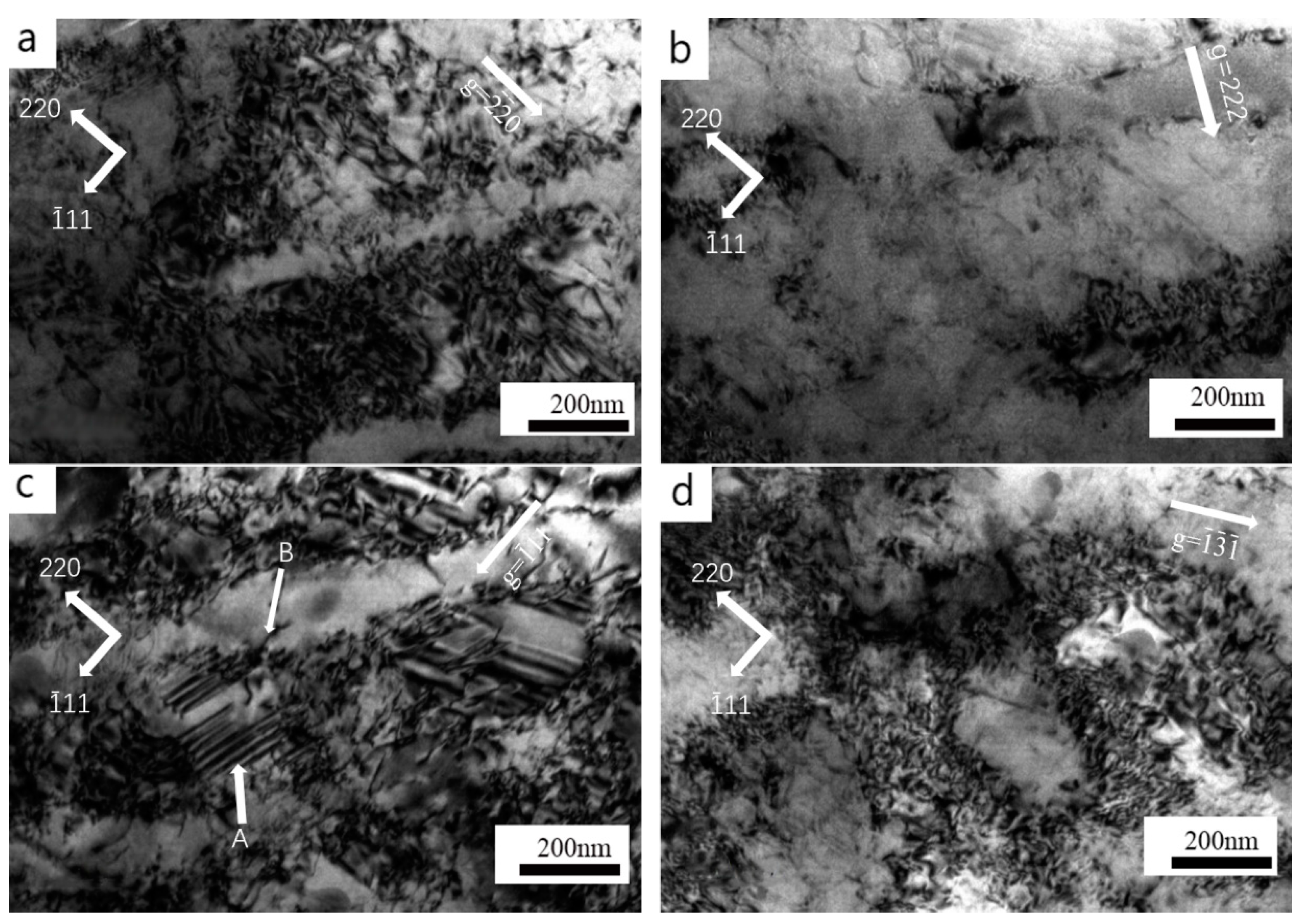 Coatings 15 00053 g009