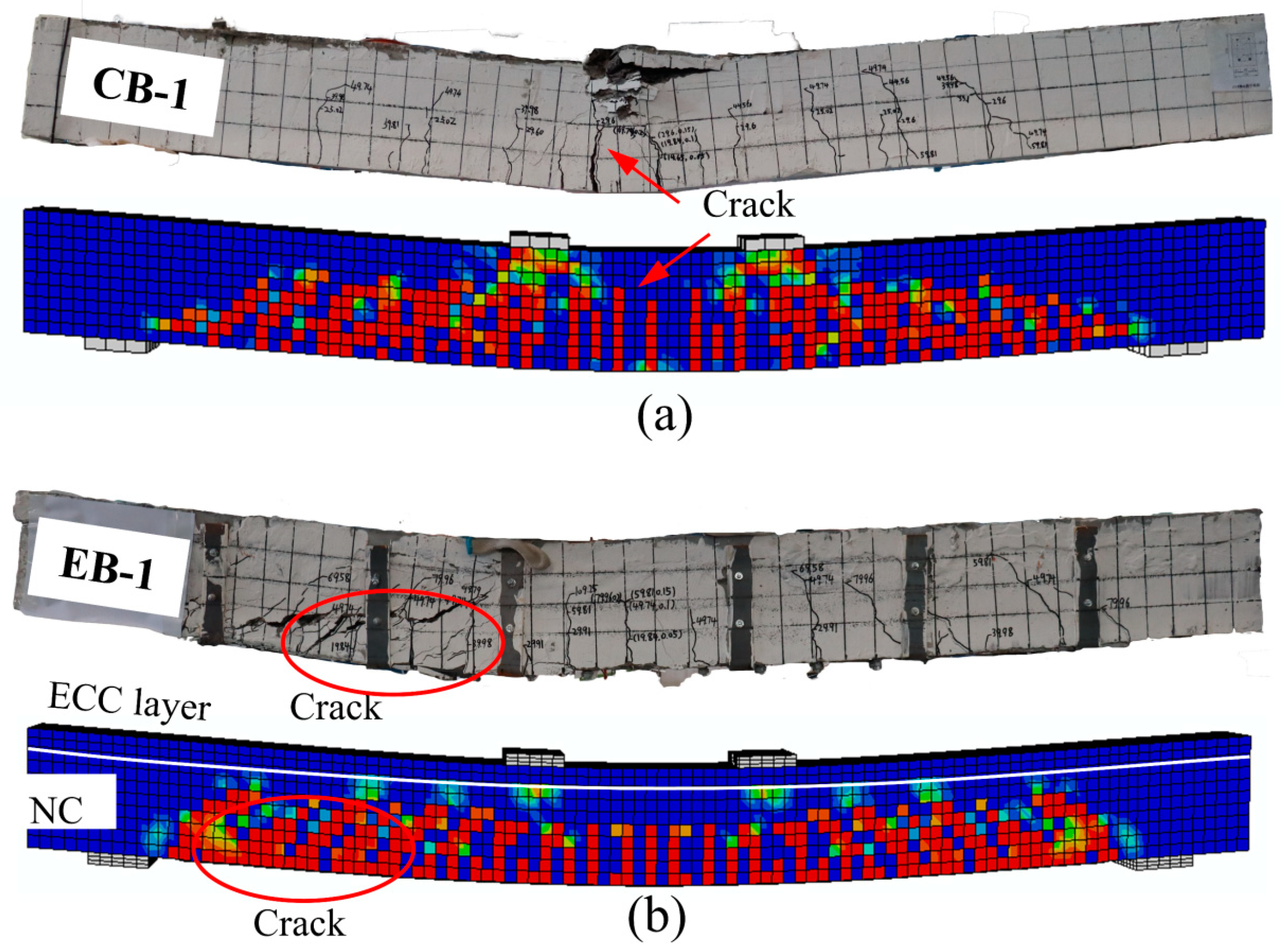 Coatings 15 00054 g017