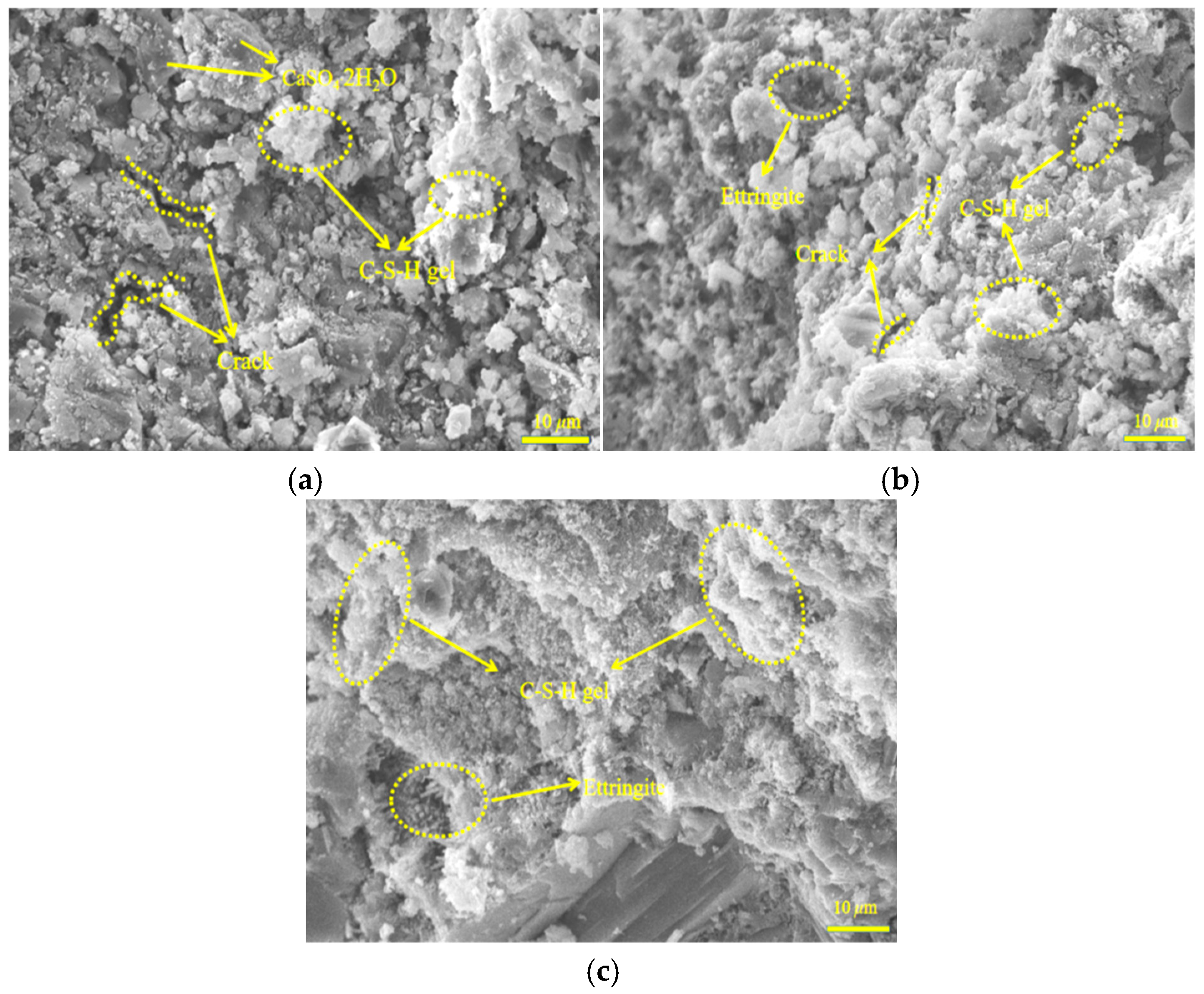 Coatings 15 00065 g007