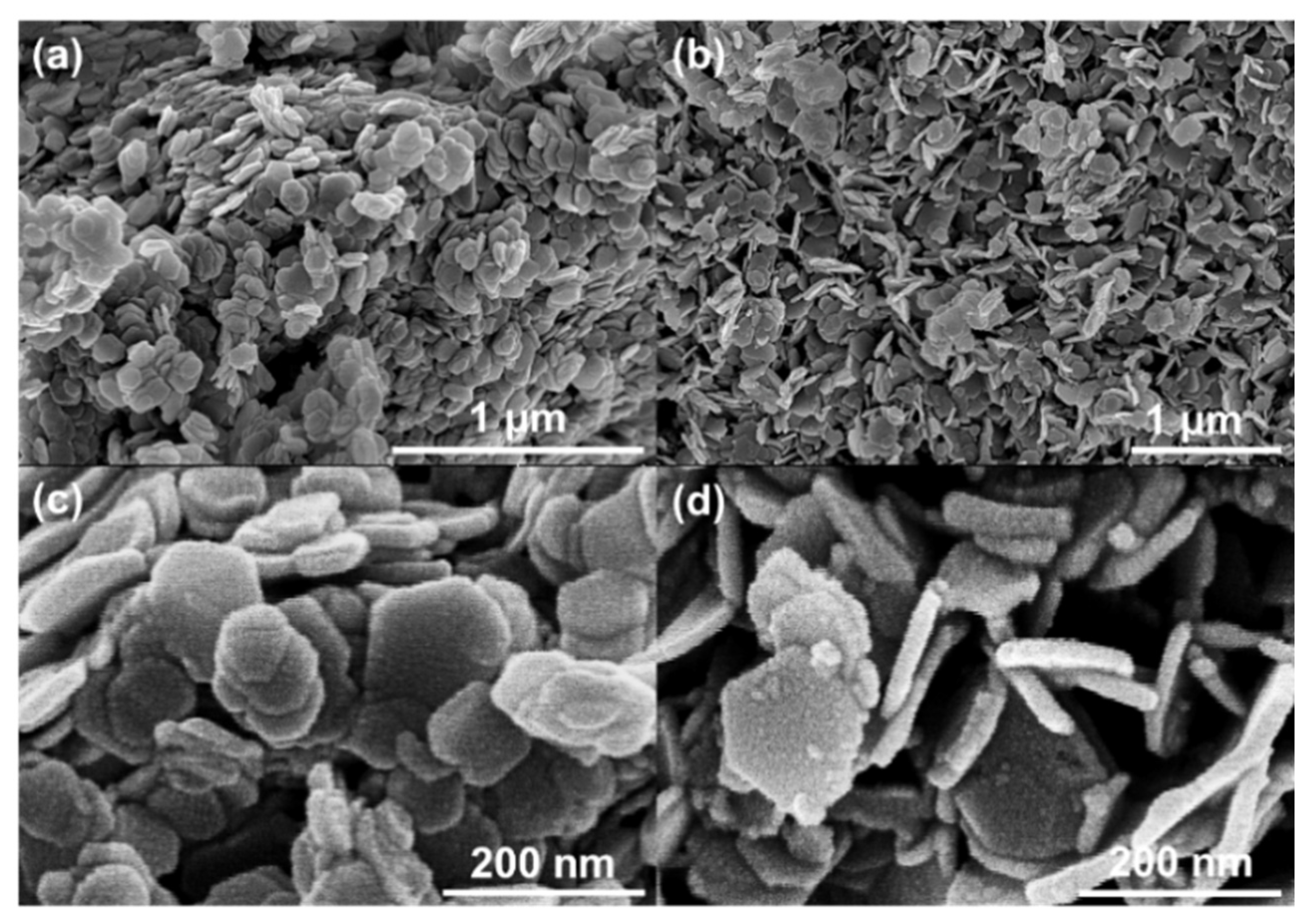Coatings 15 00068 g003