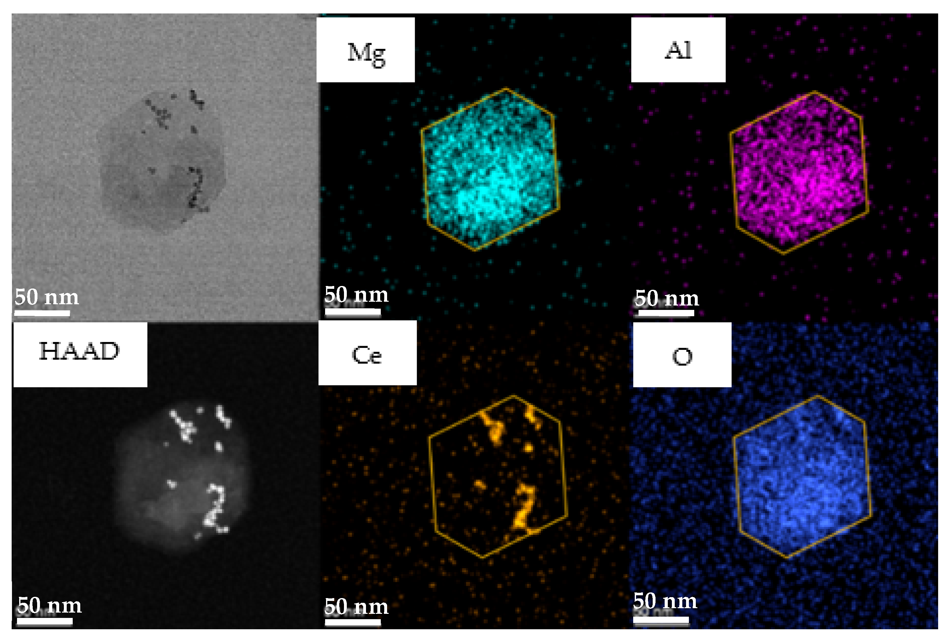 Coatings 15 00068 g004