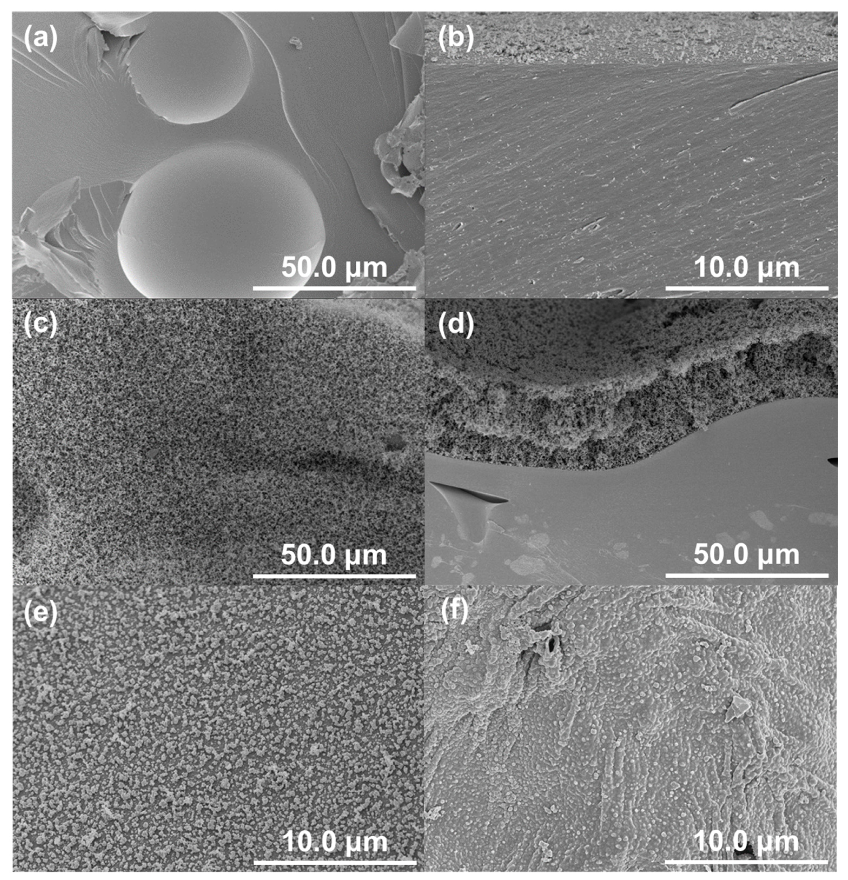 Coatings 15 00068 g013