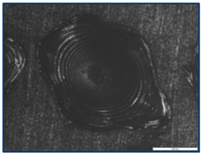 Coatings 15 00072 i003