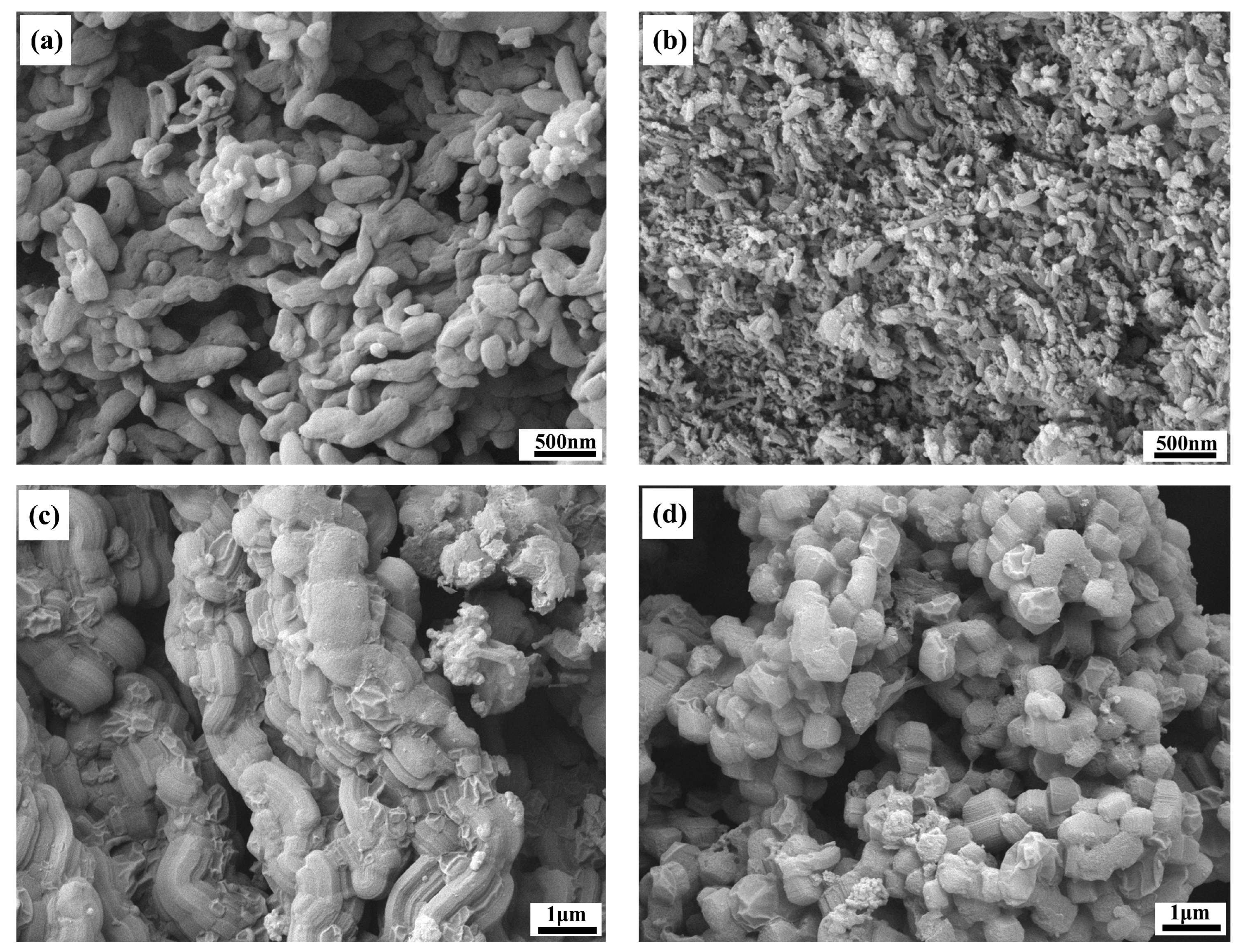 Coatings 15 00077 g005