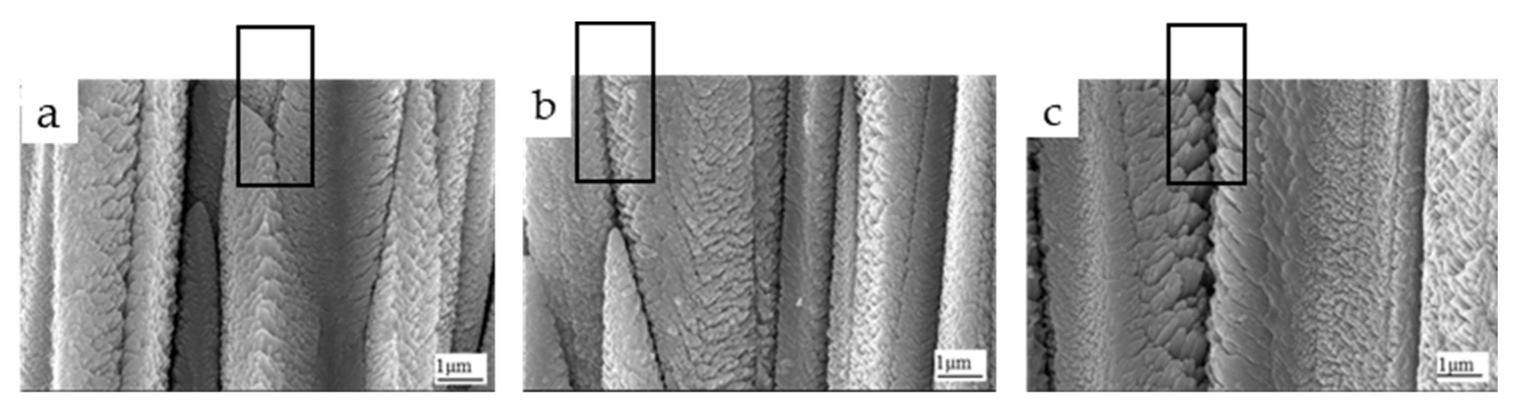 Coatings 15 00078 g006