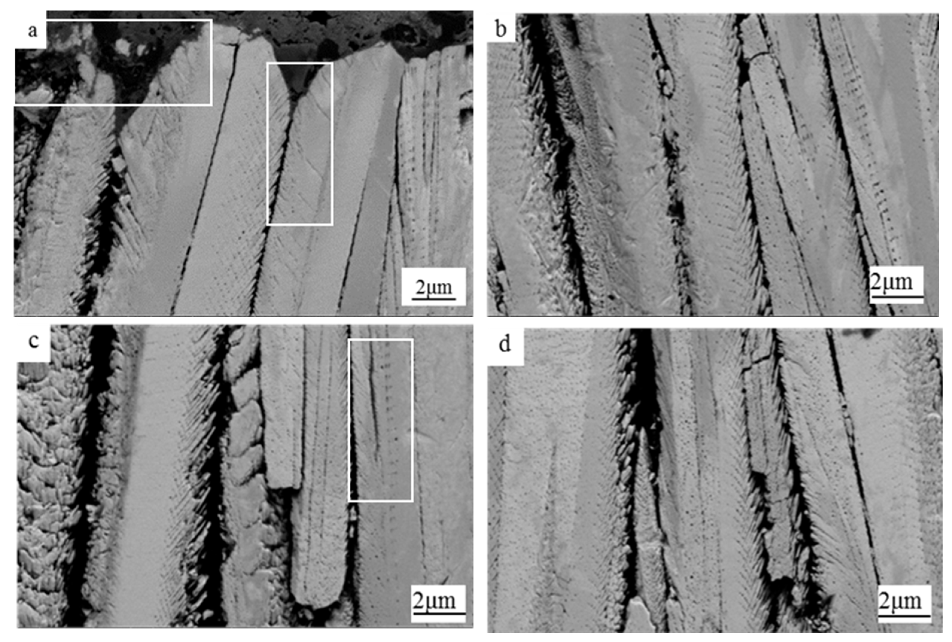 Coatings 15 00078 g009