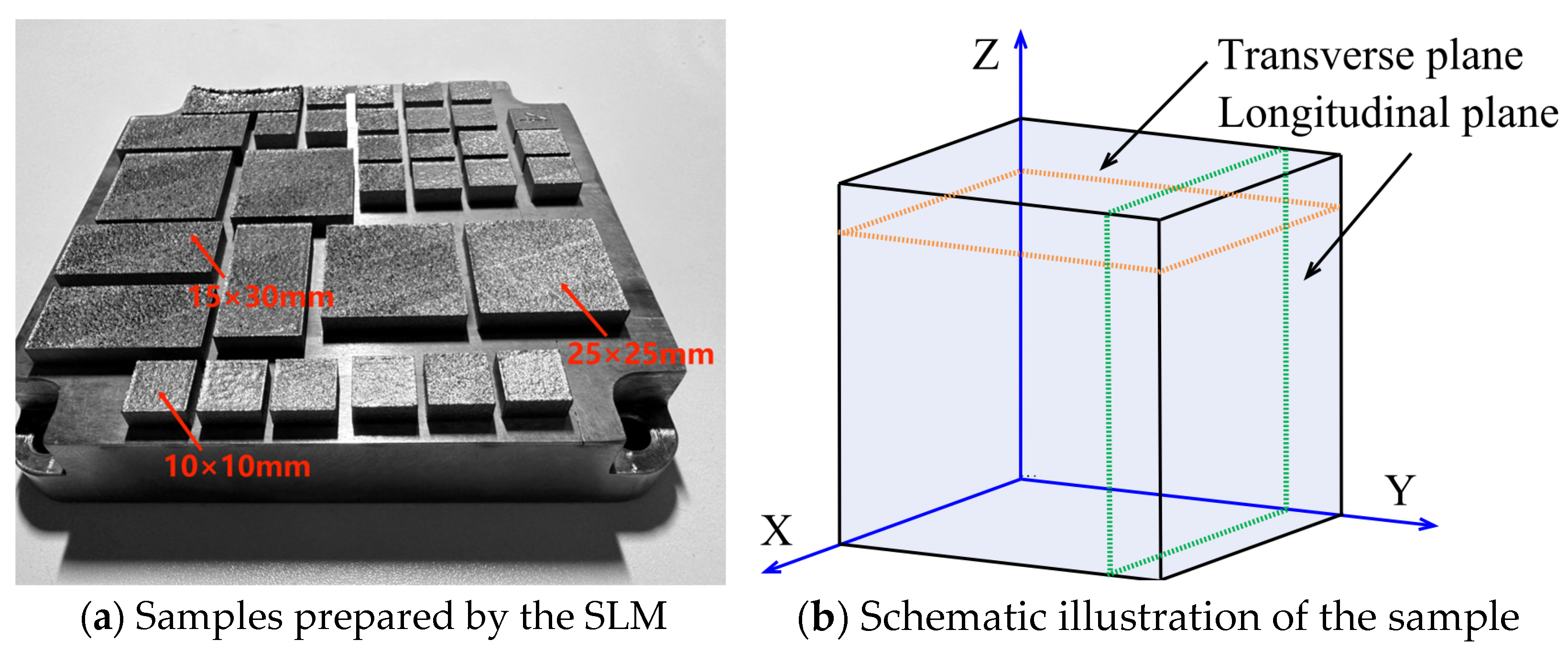 Coatings 15 00081 g002