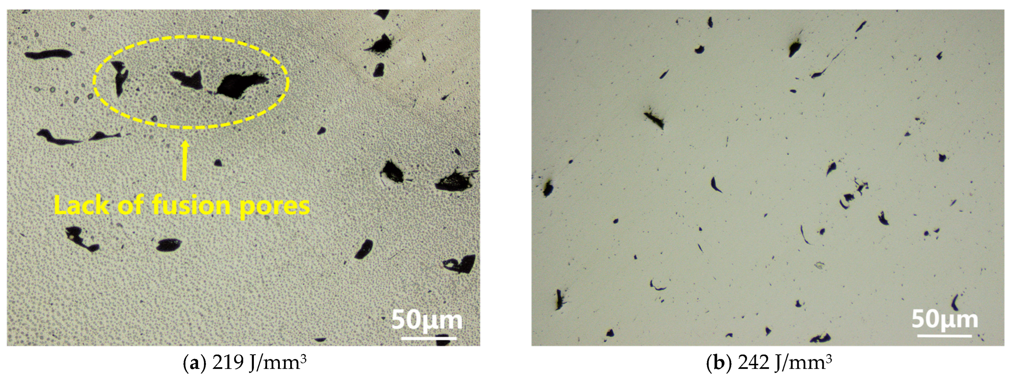 Coatings 15 00081 g004a