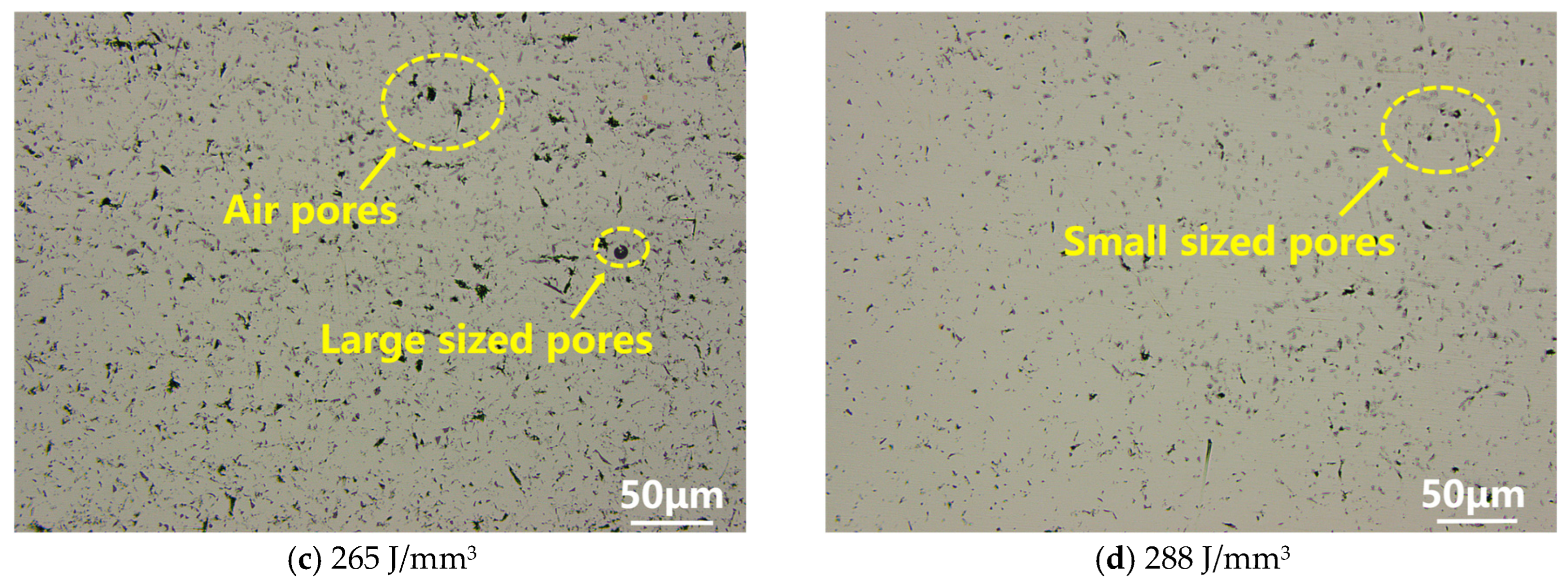 Coatings 15 00081 g004b
