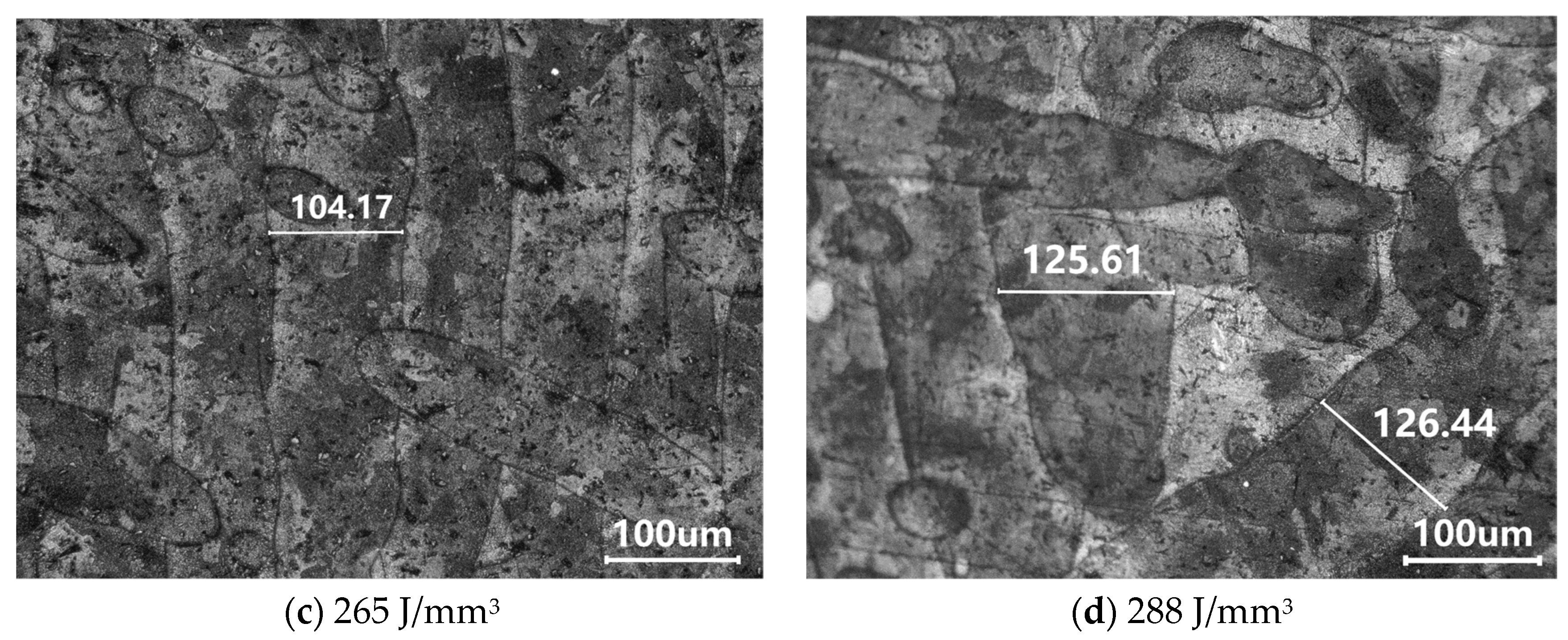 Coatings 15 00081 g005b