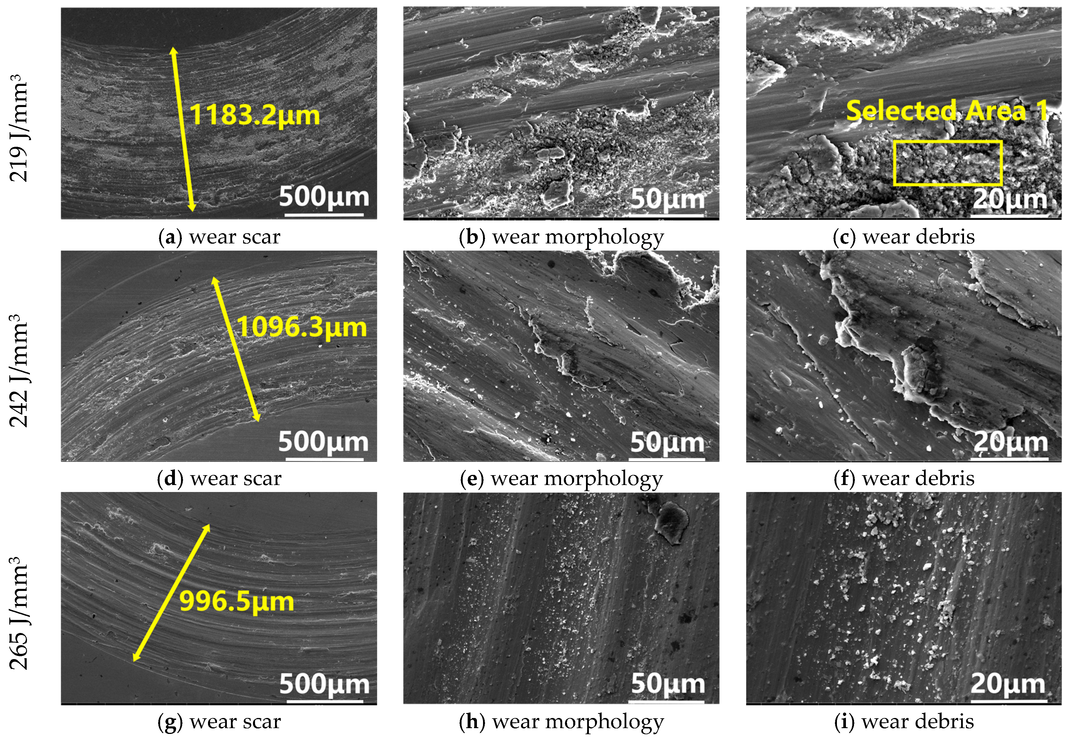 Coatings 15 00081 g011a