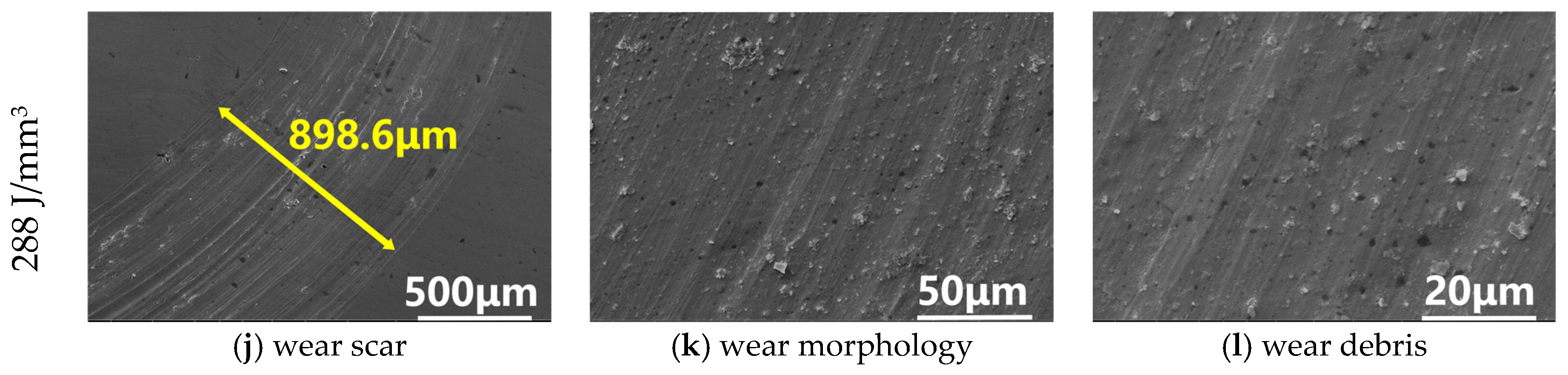 Coatings 15 00081 g011b