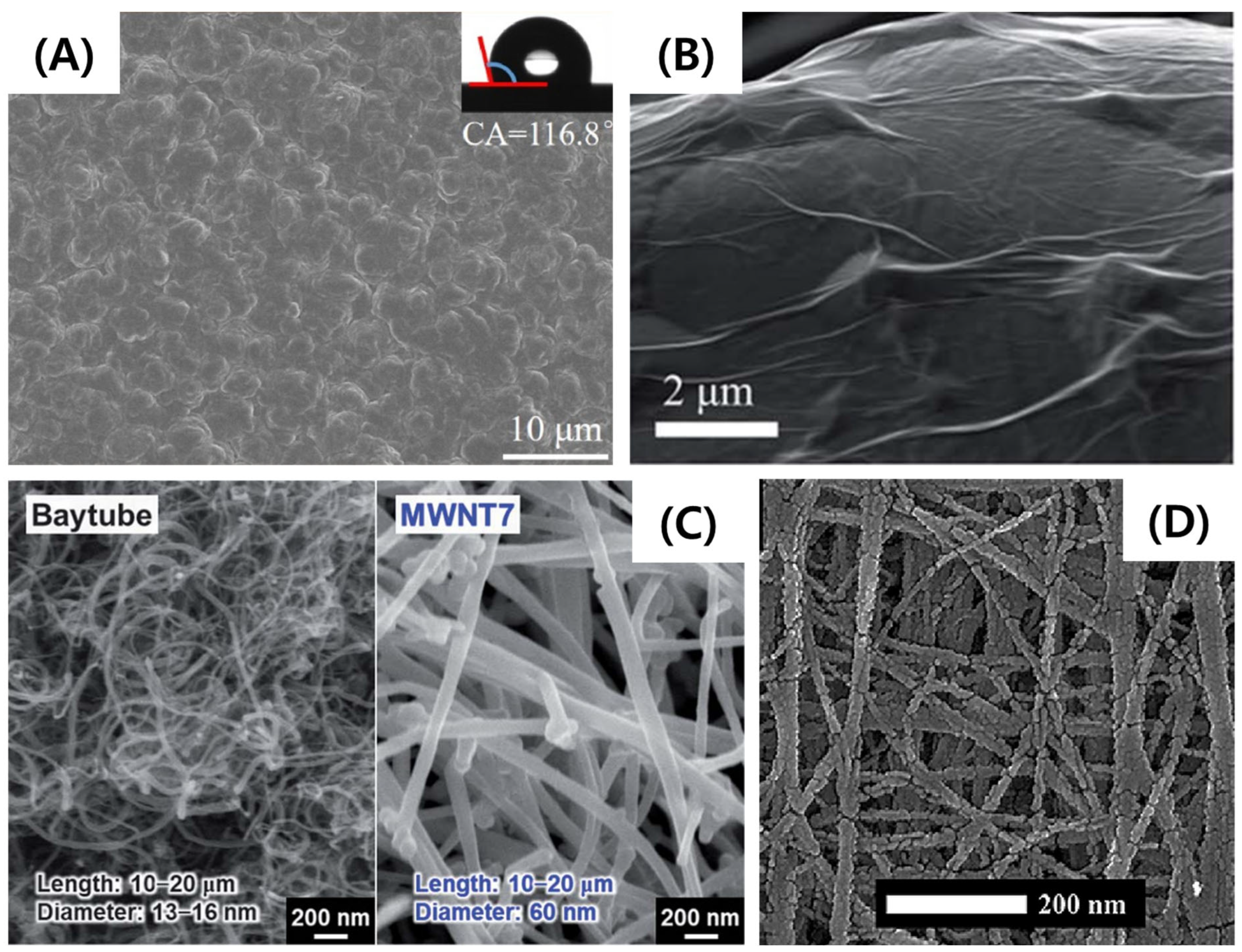 Coatings 15 00086 g002