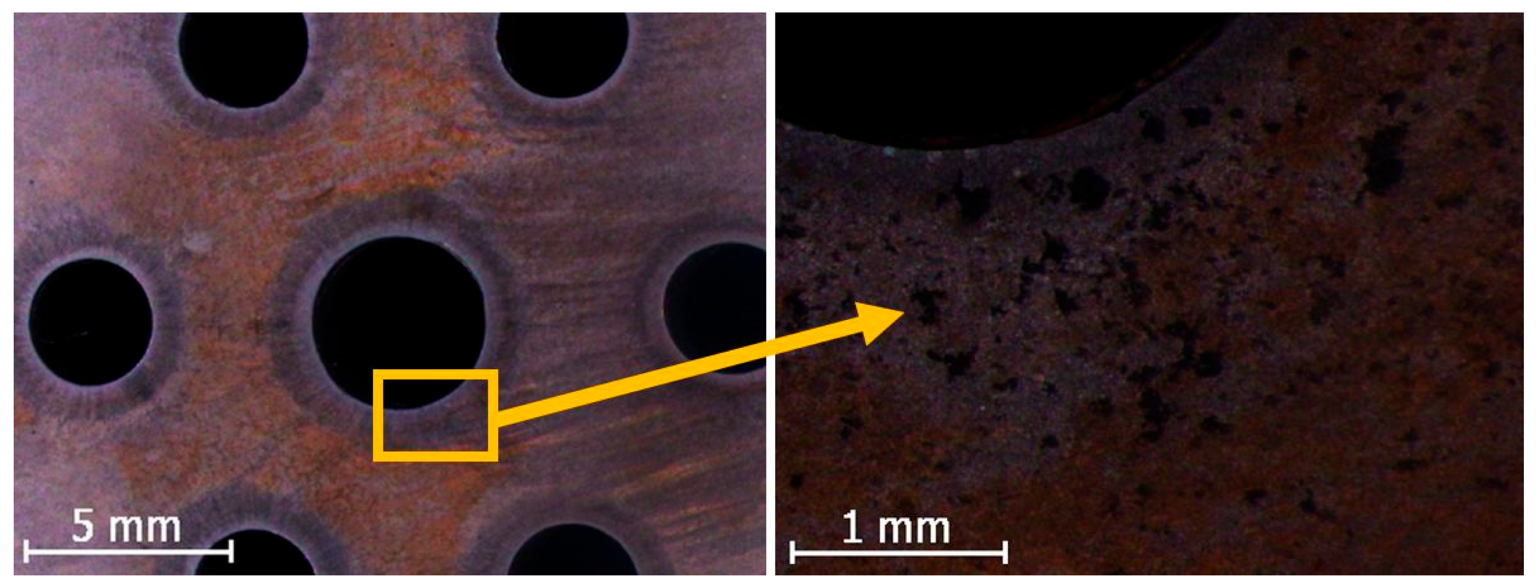 Coatings 15 00087 g002