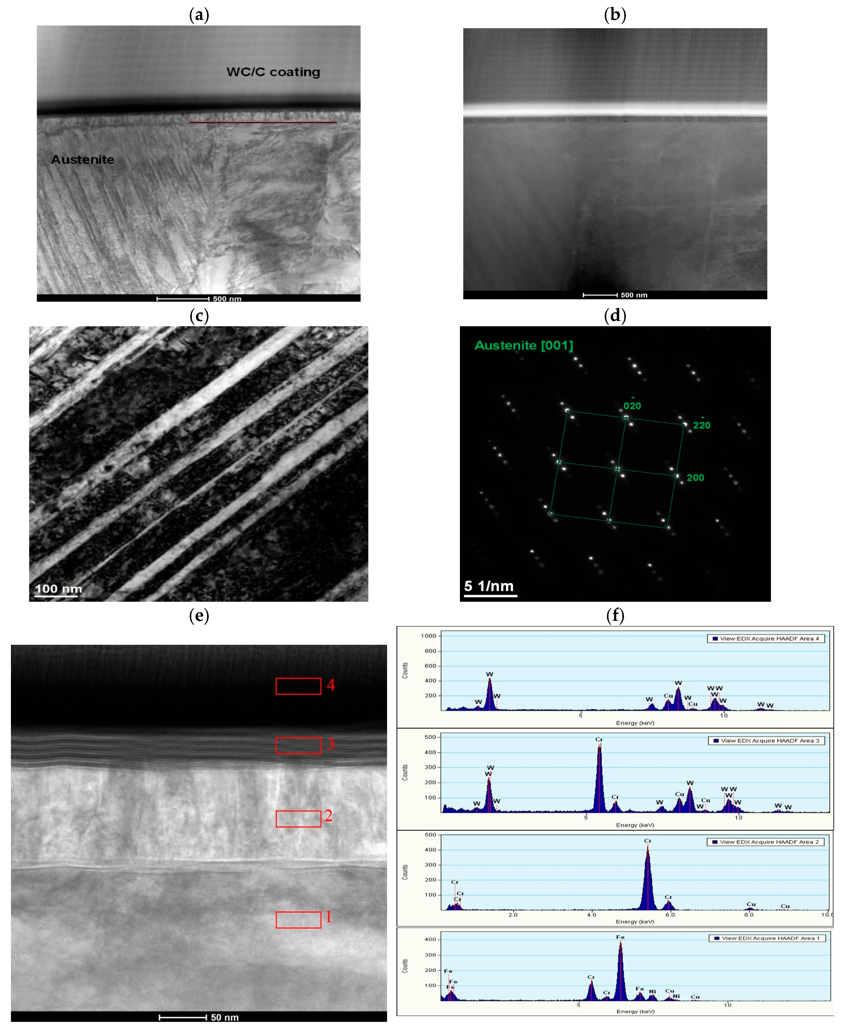 Coatings 15 00087 g006