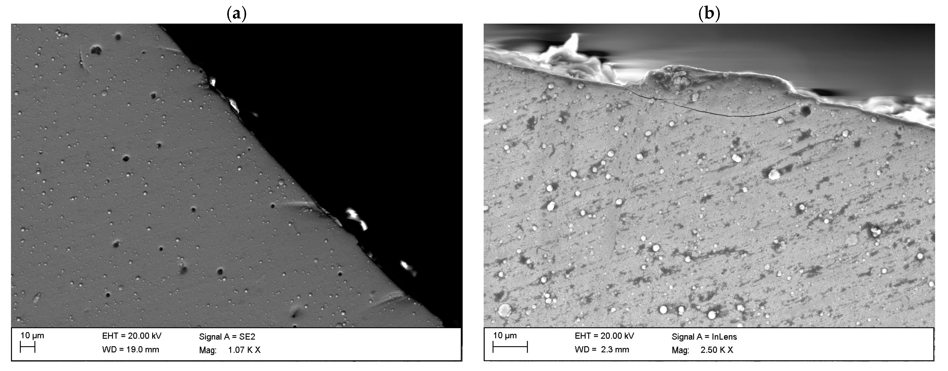 Coatings 15 00087 g013