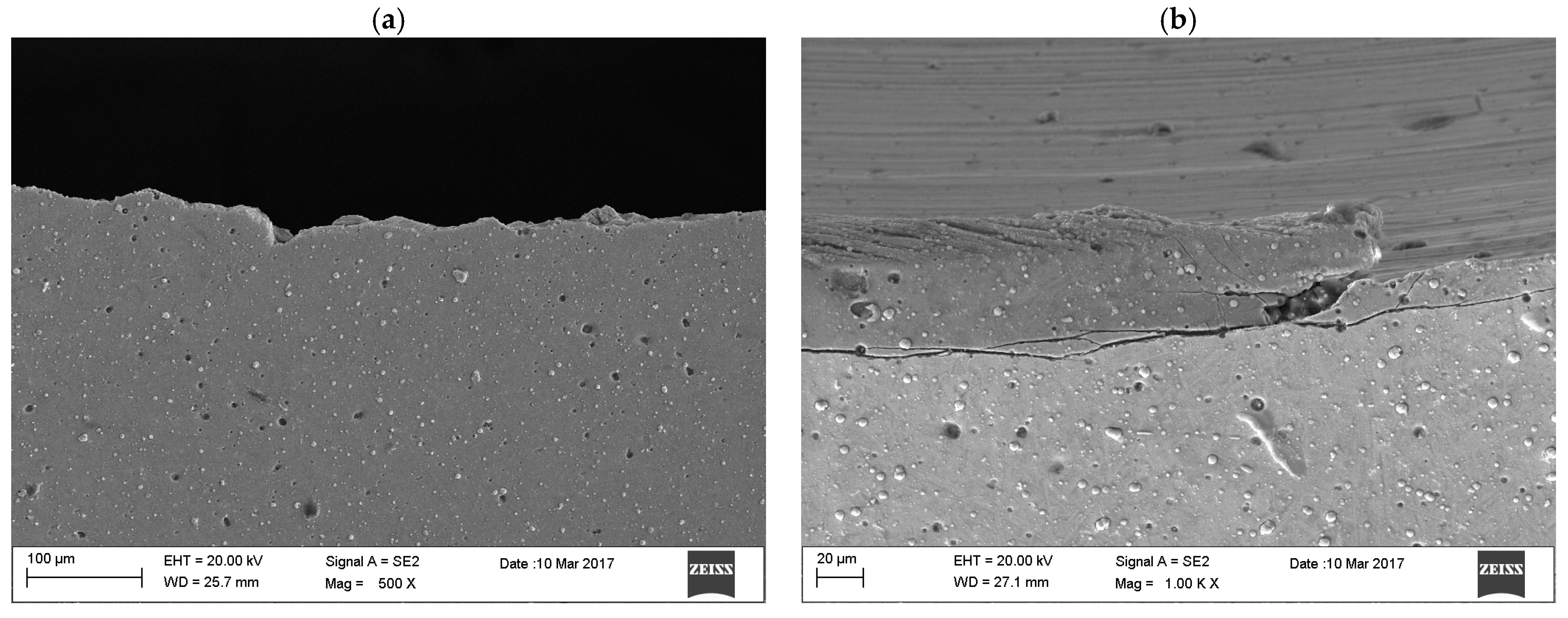 Coatings 15 00087 g014