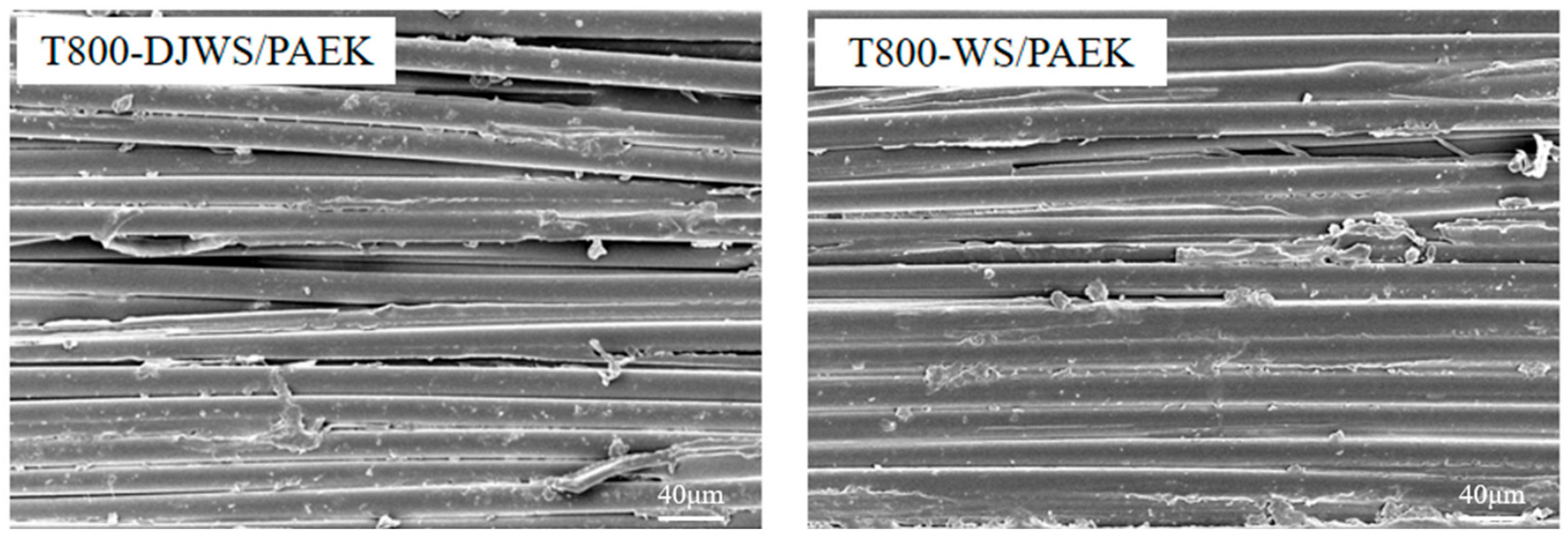 Coatings 15 00090 g010