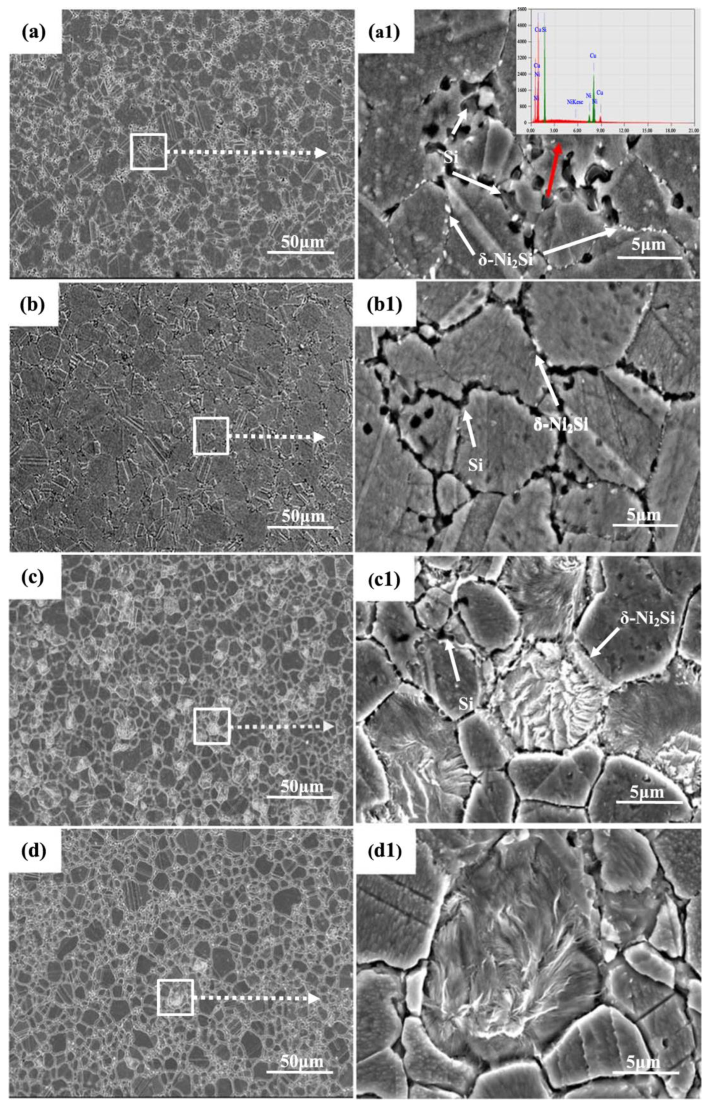 Coatings 15 00091 g009
