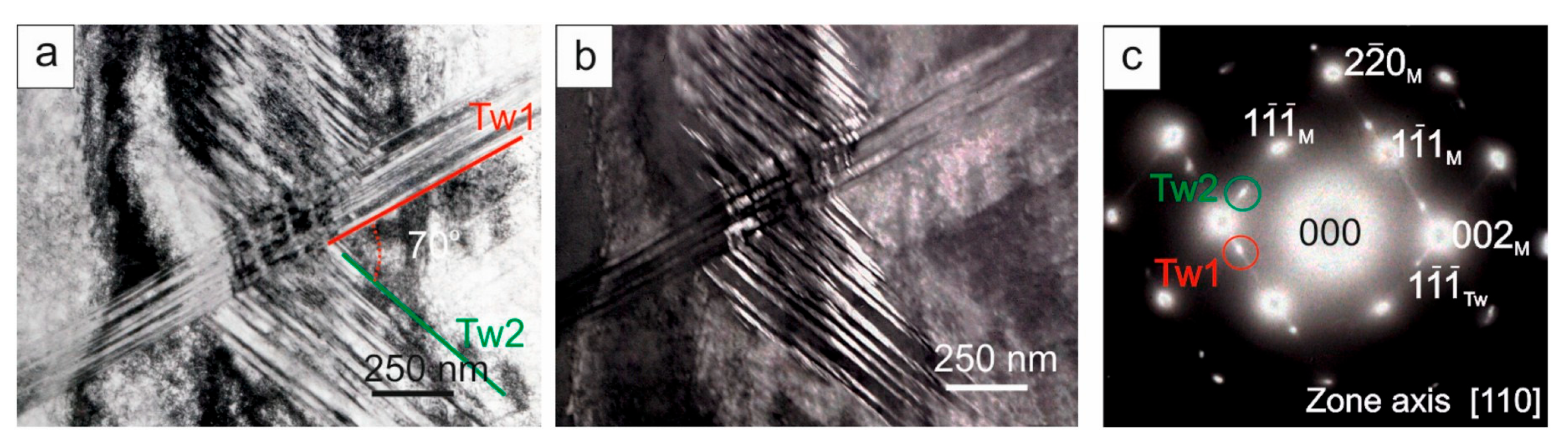 Coatings 15 00092 g004