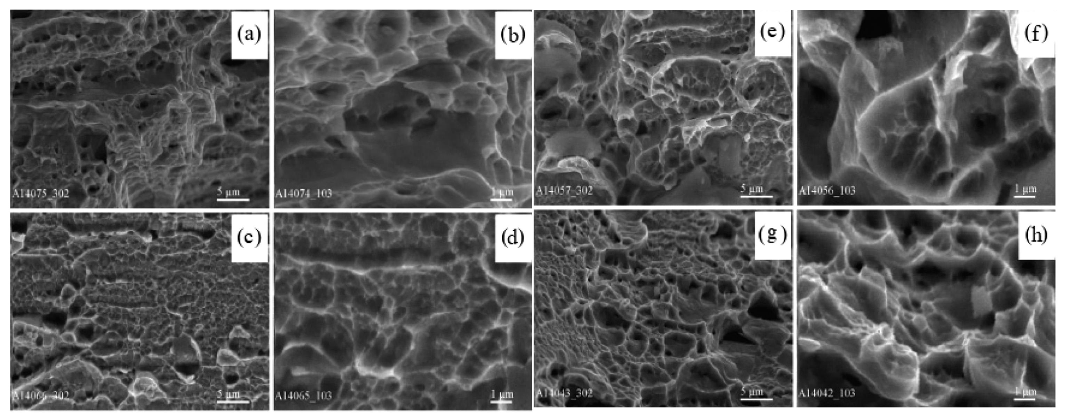 Coatings 15 00092 g006