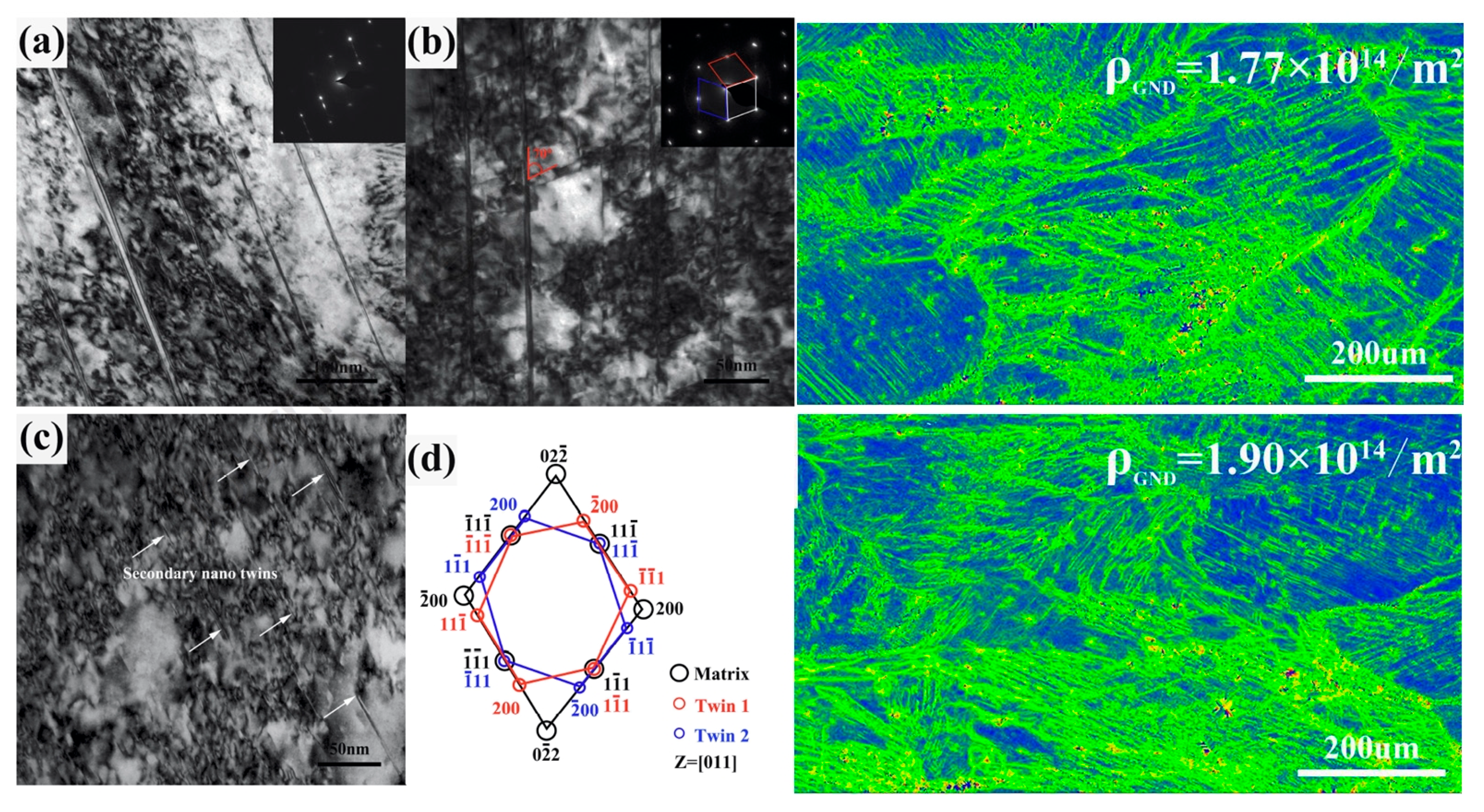 Coatings 15 00092 g007
