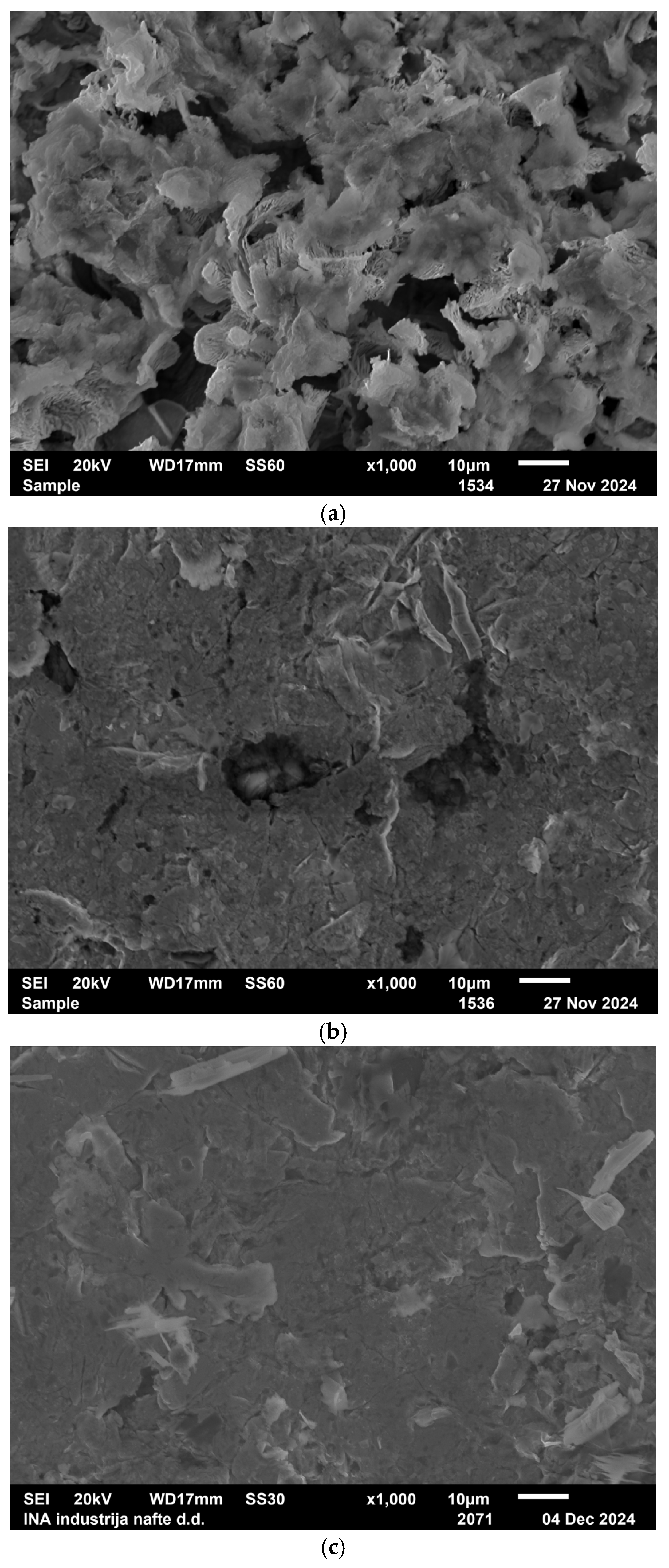 Coatings 15 00093 g011