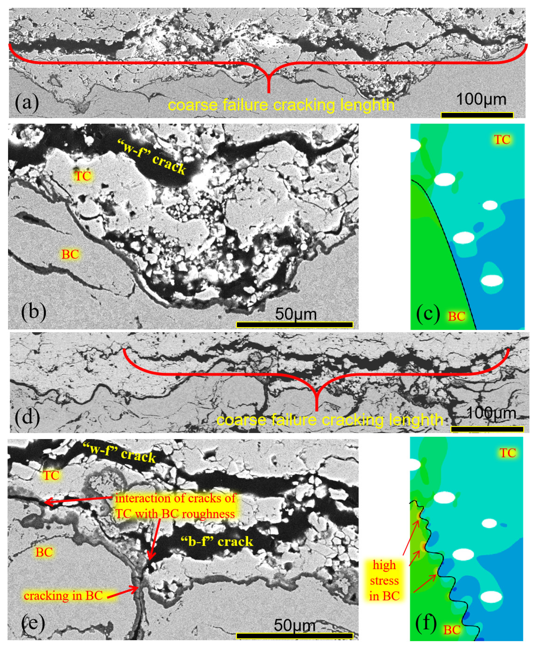 Coatings 15 00097 g013