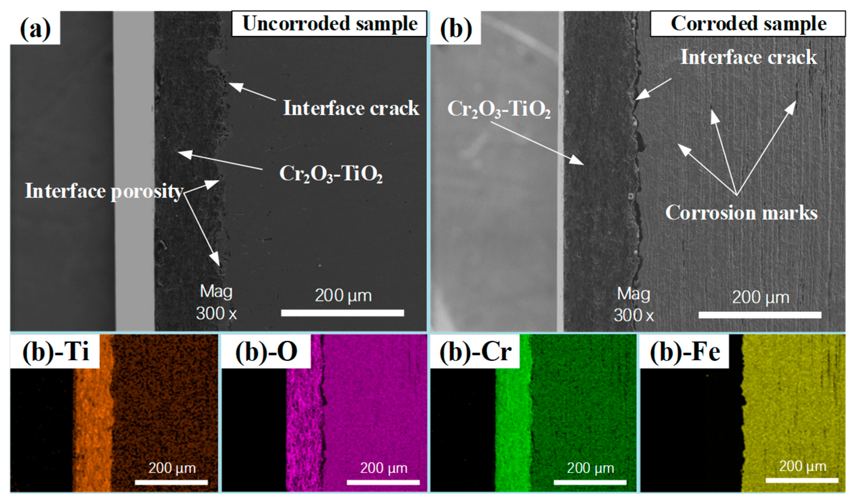 Coatings 15 00098 g005