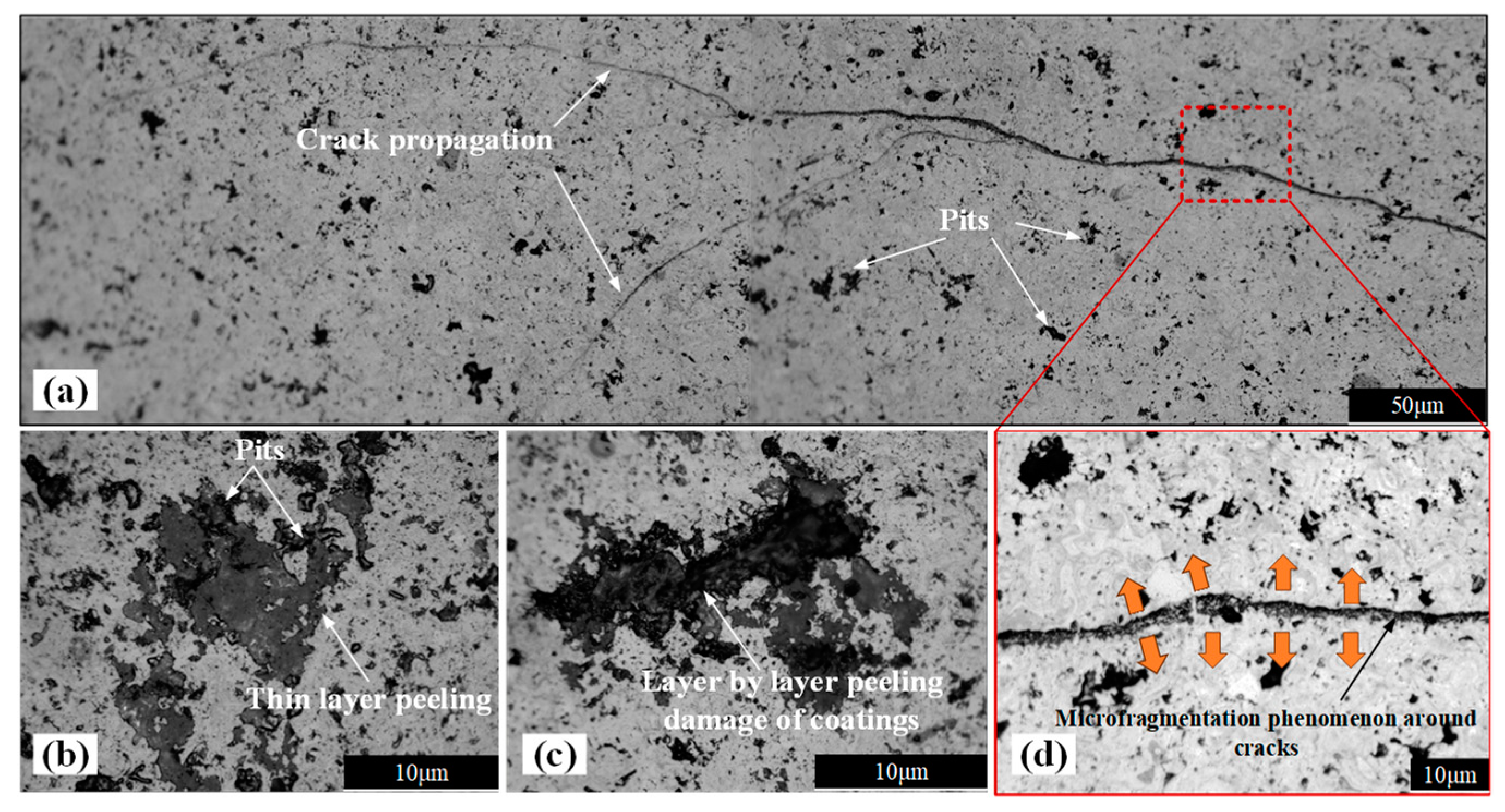 Coatings 15 00098 g008