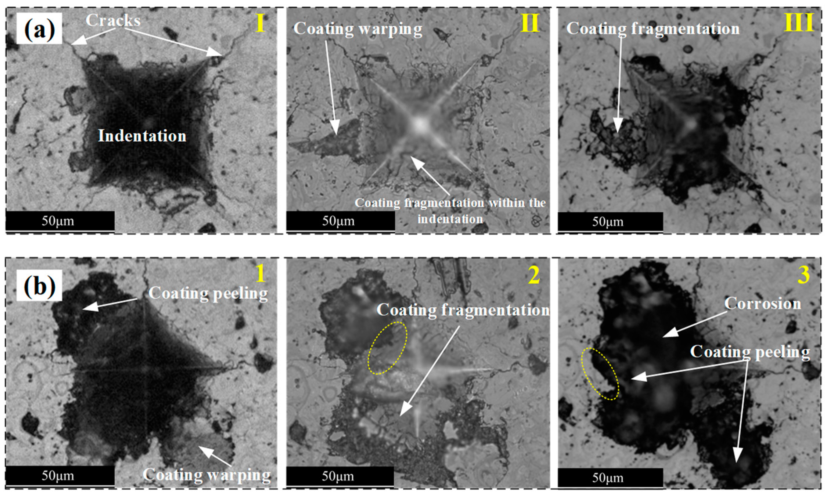 Coatings 15 00098 g010