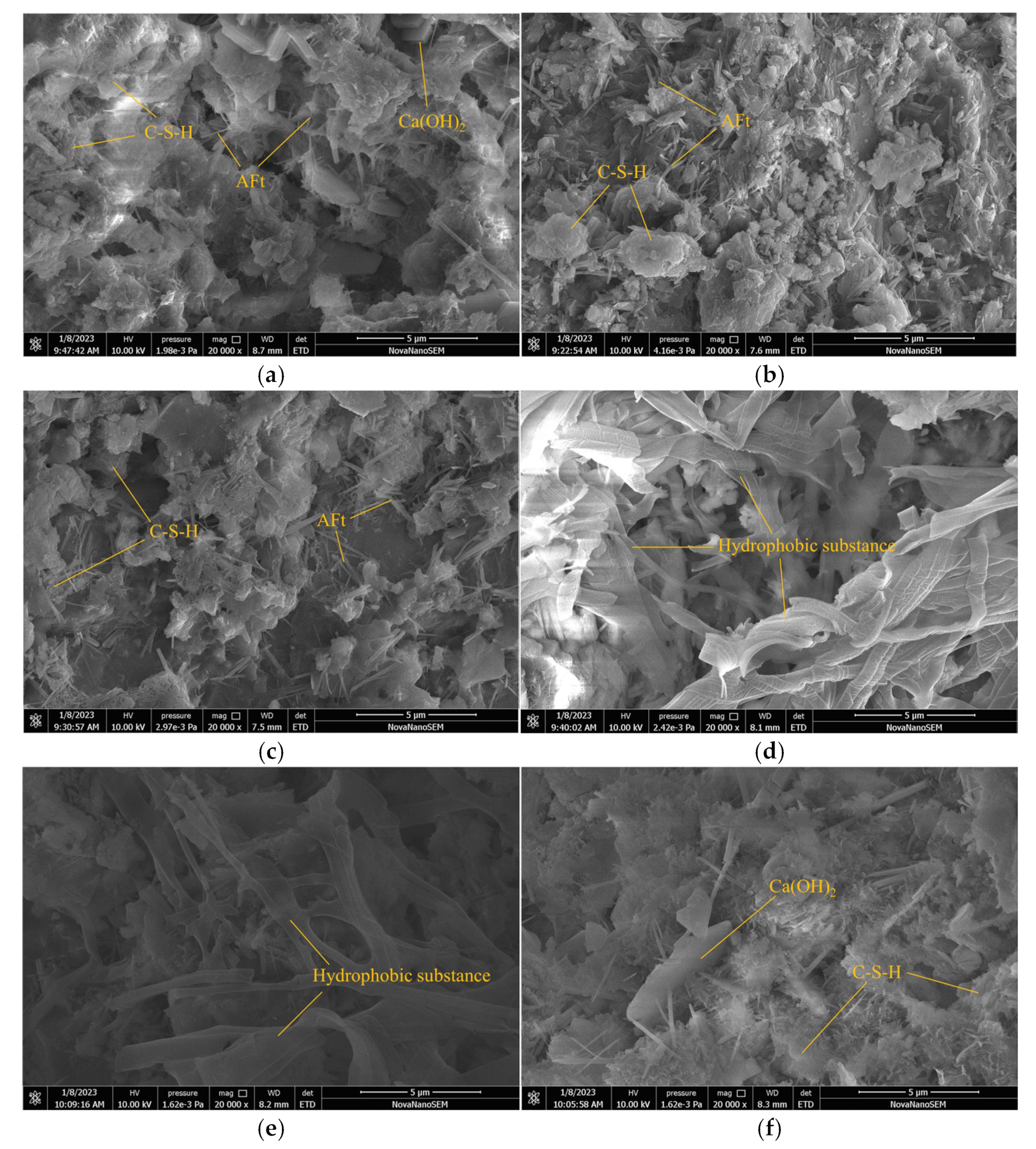 Coatings 15 00100 g012