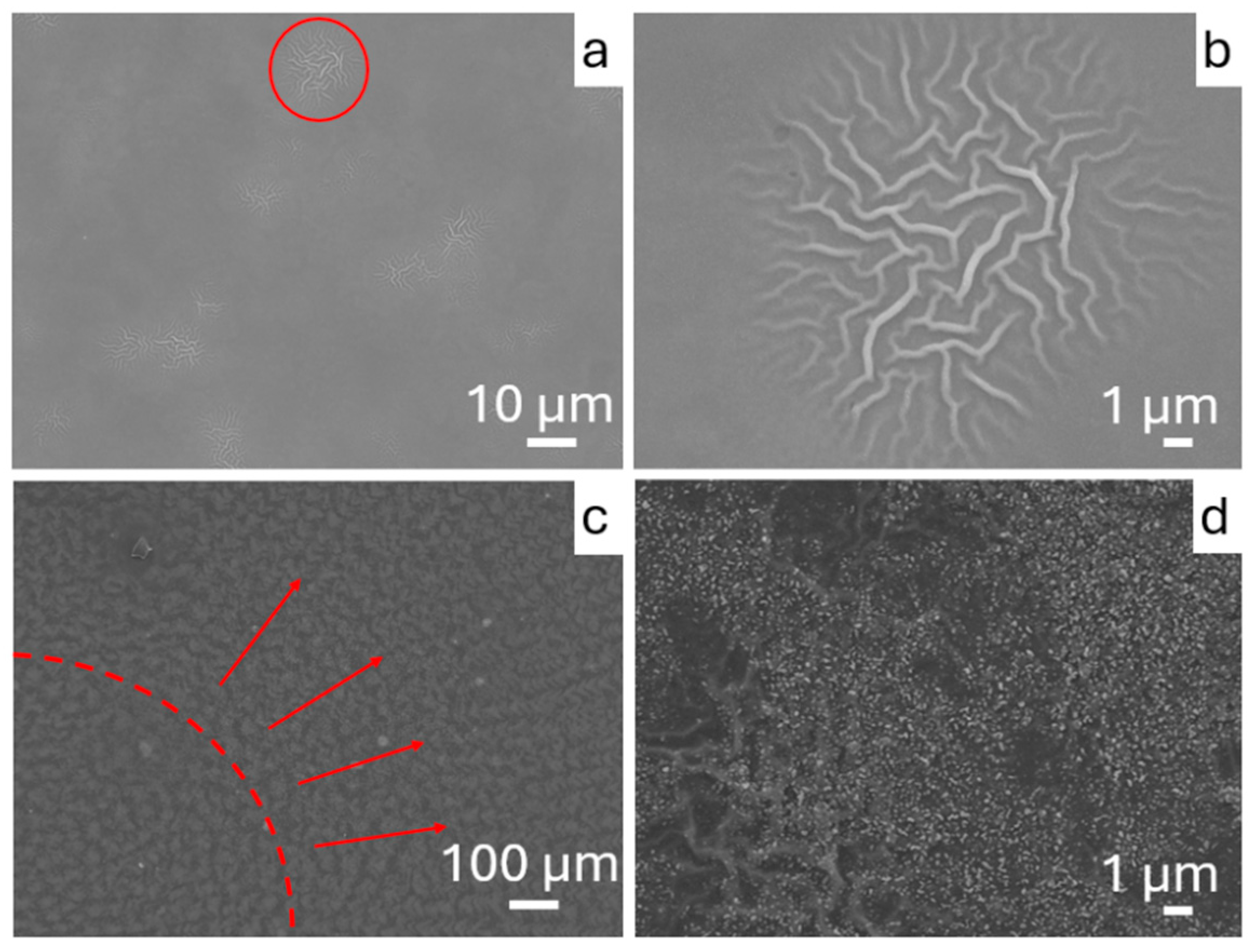 Coatings 15 00107 g005