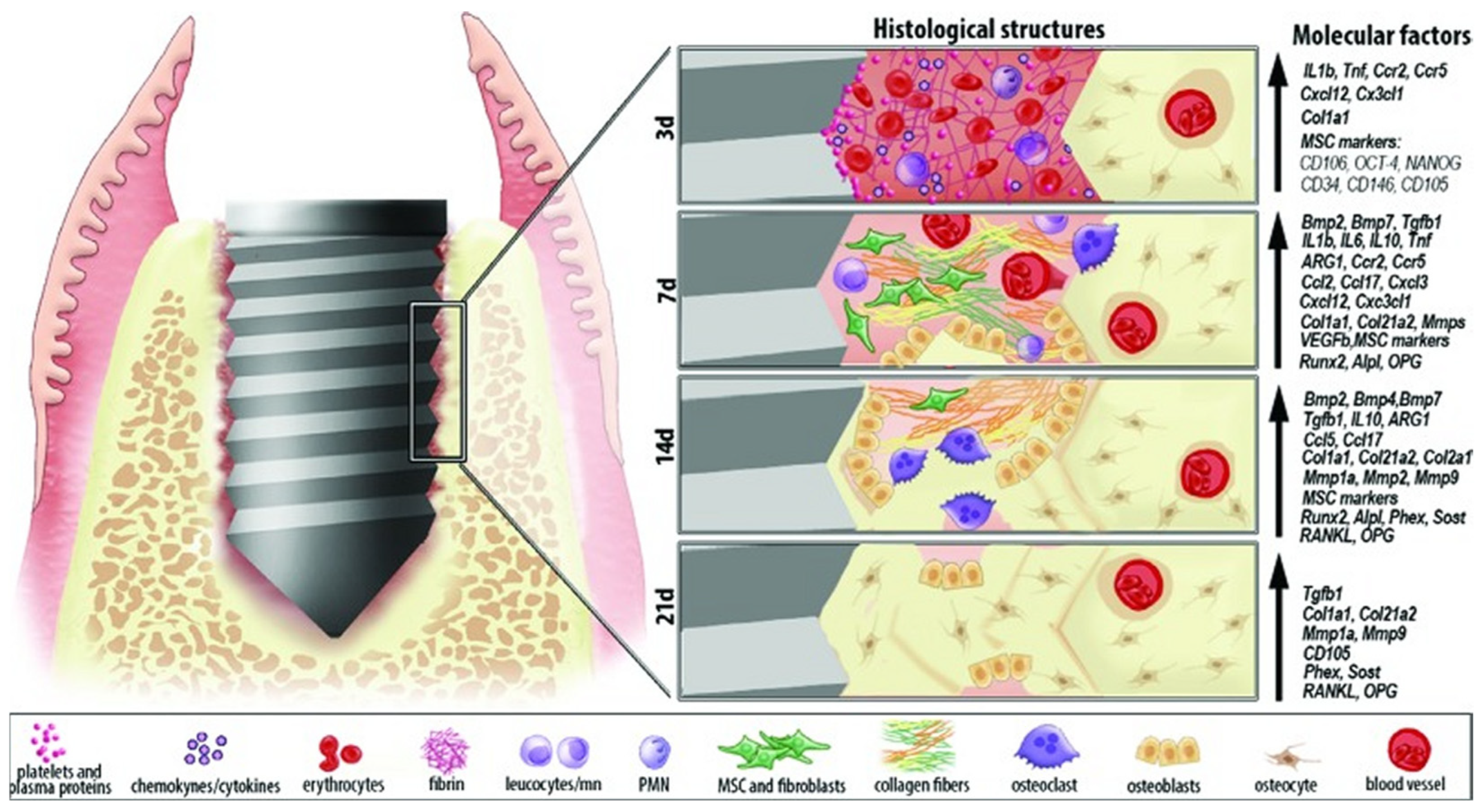 Coatings 15 00109 g002