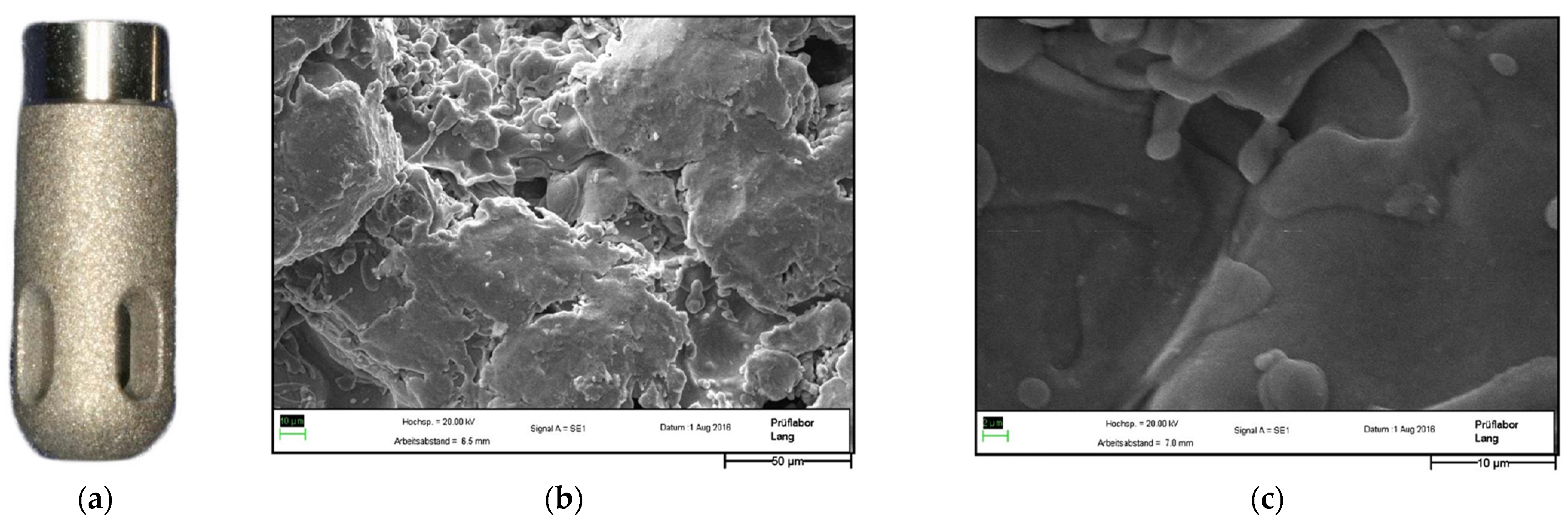 Coatings 15 00109 g004