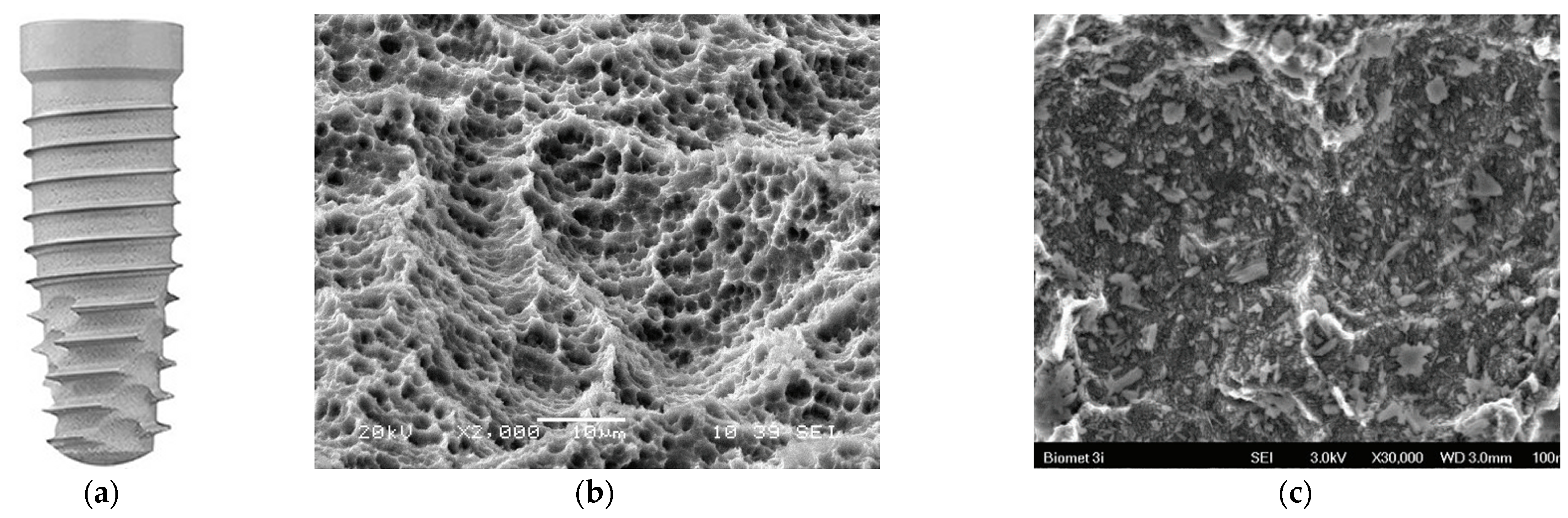 Coatings 15 00109 g006