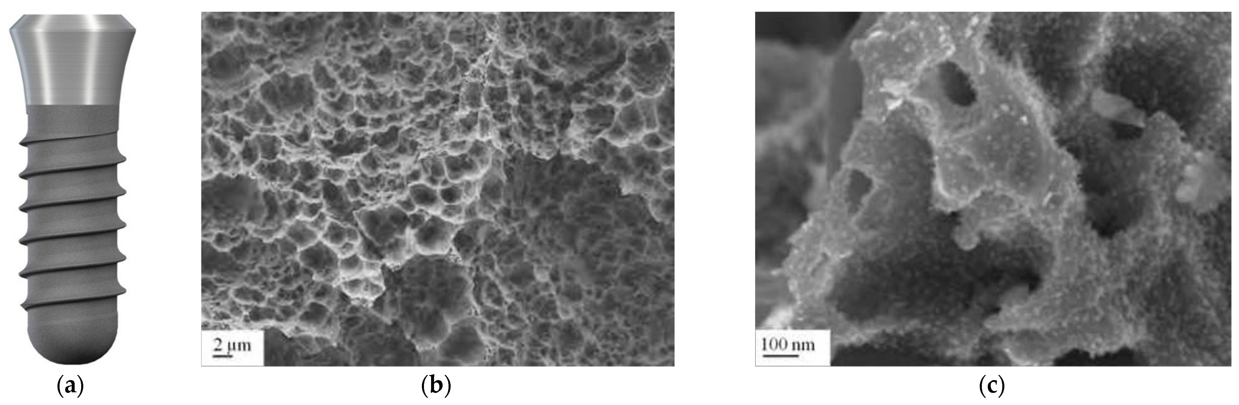 Coatings 15 00109 g008