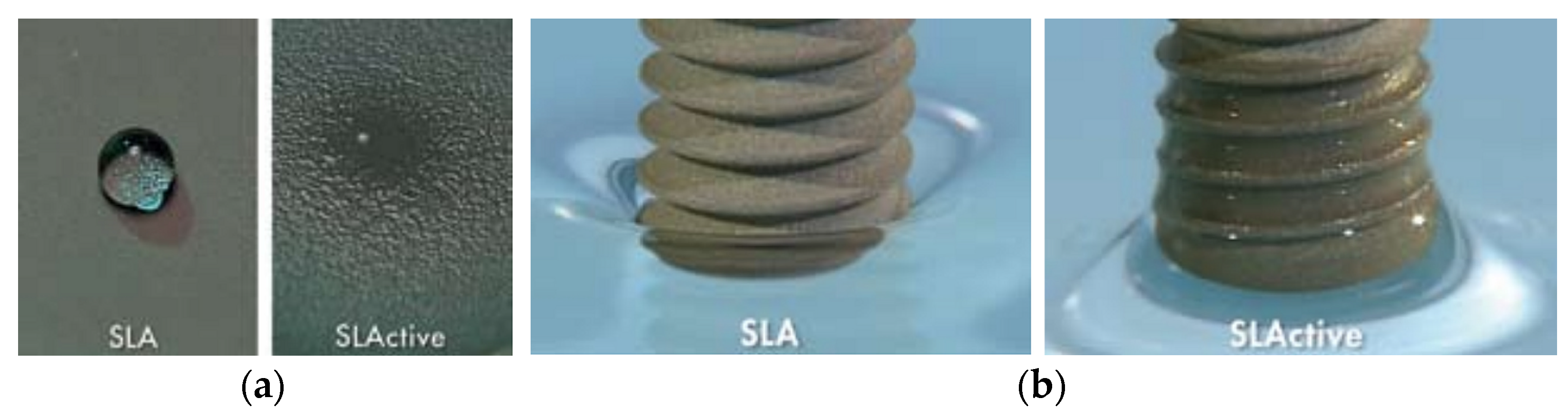 Coatings 15 00109 g009a